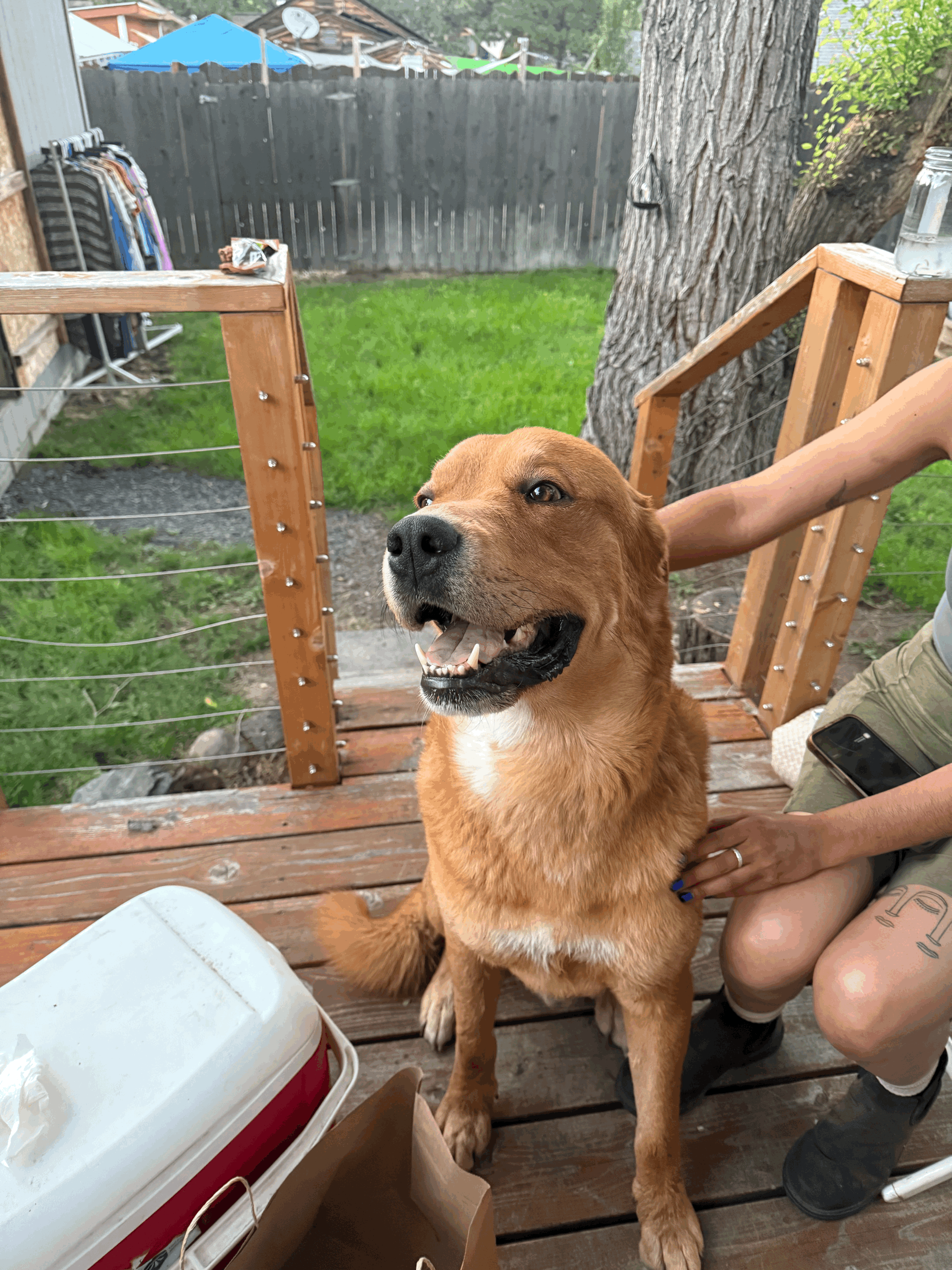 tempImageWNdZWf.gif