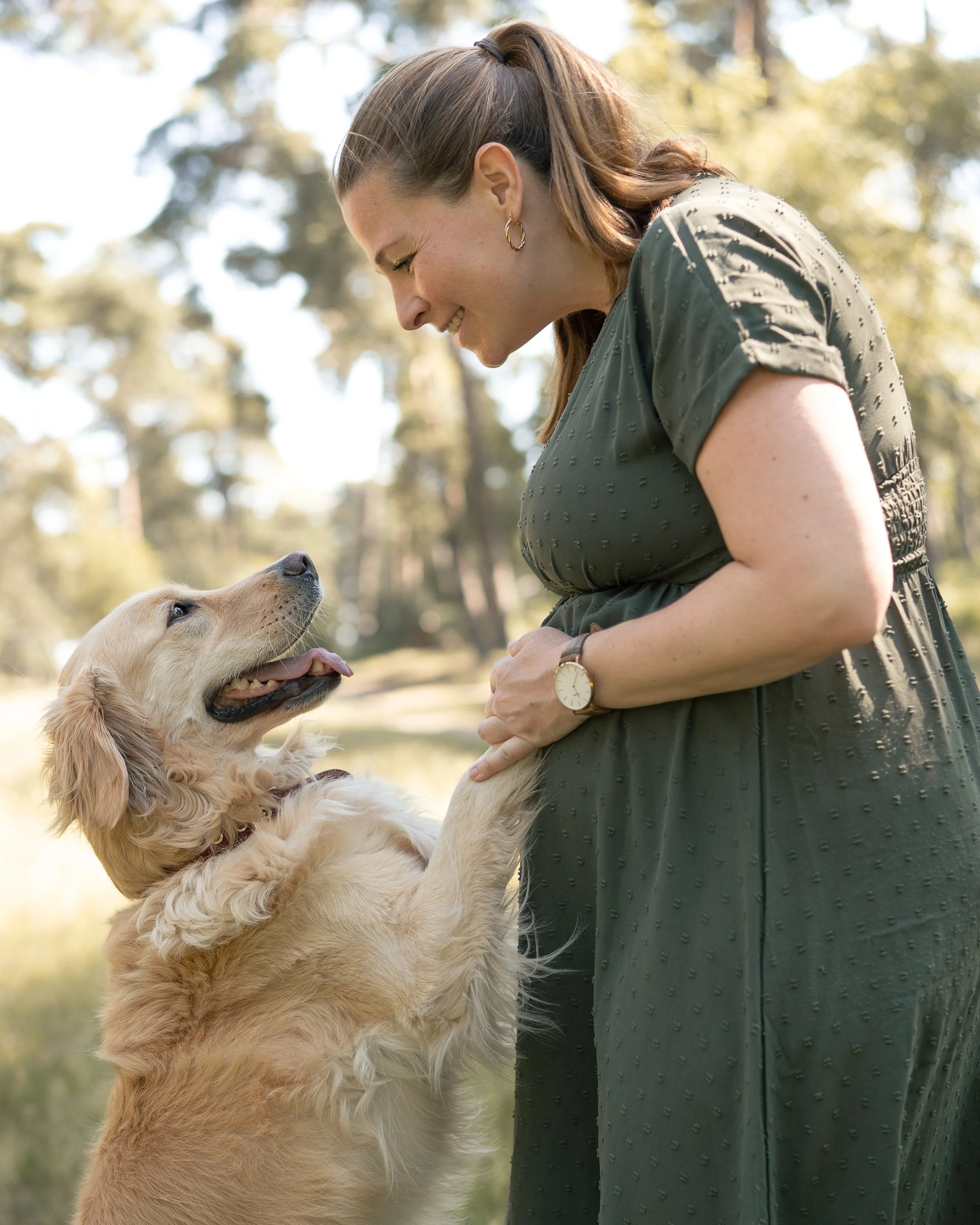 Frau mit braunen Haaren, die ein golden retriever Hund streichelt, im Freien auf einer Waldlichtung bei Sonnenlicht.