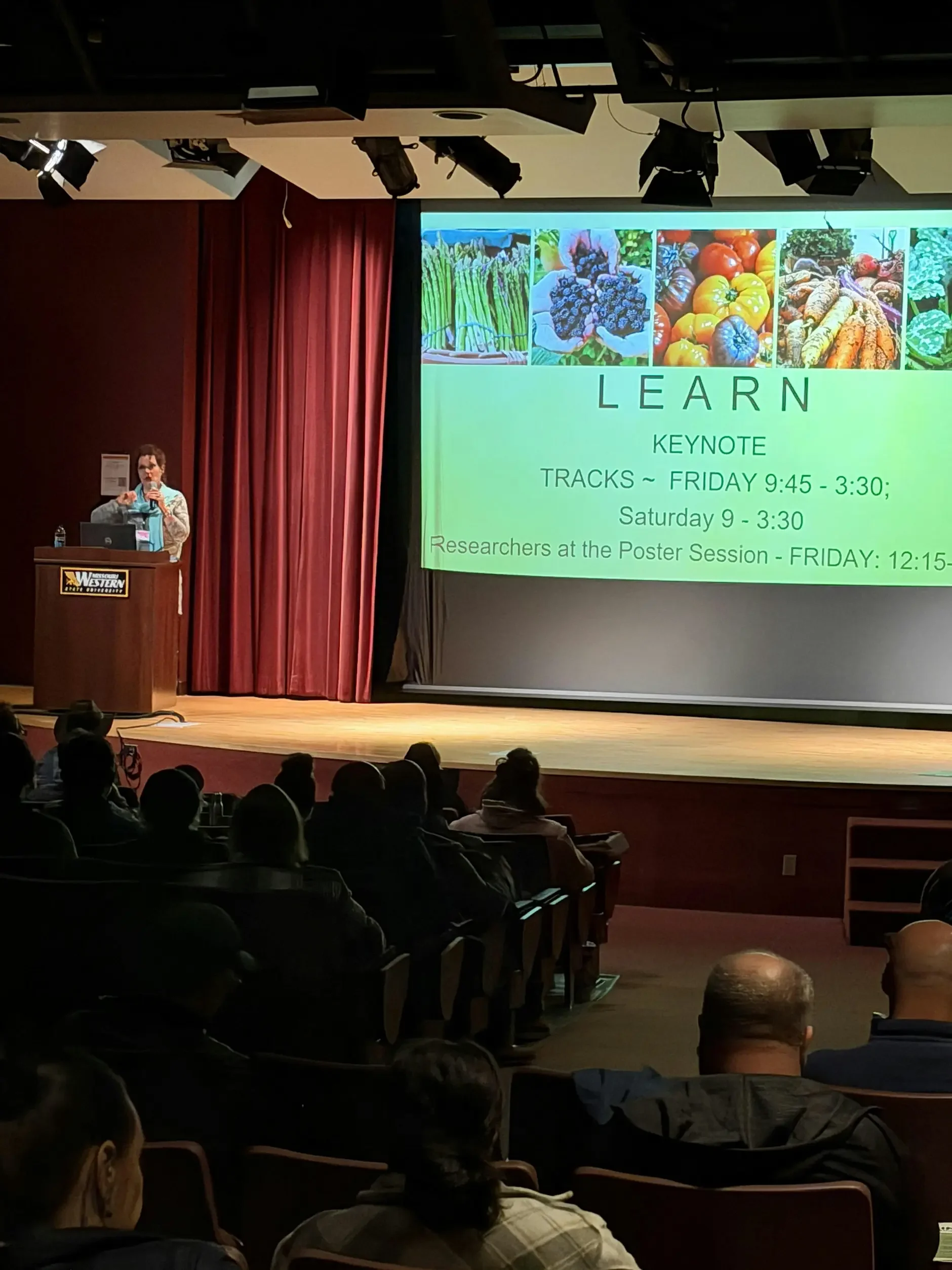 Image of a presenter speaking to a crowd.