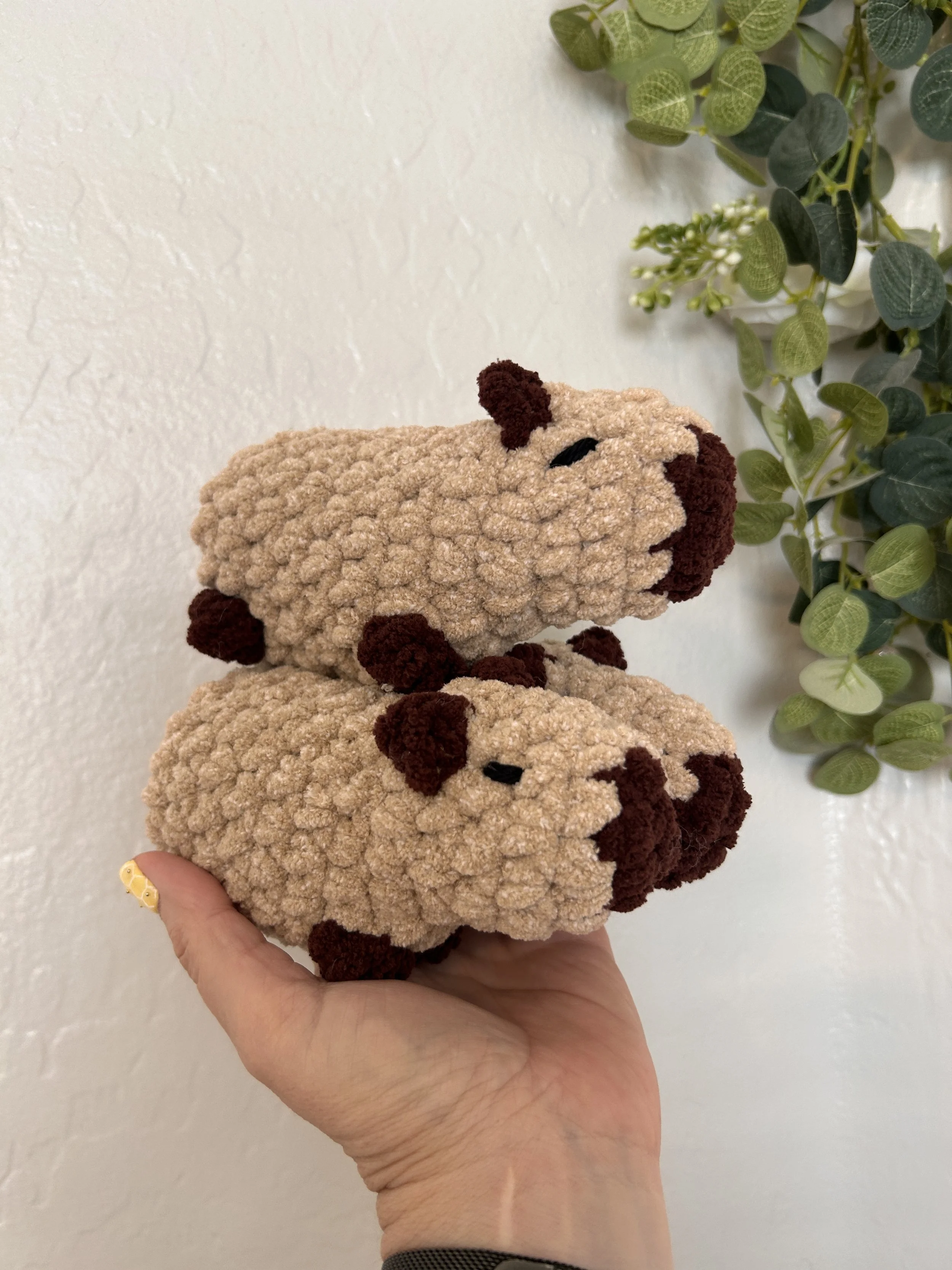Mochi the Capybara by sweetbeanscrochet on IG