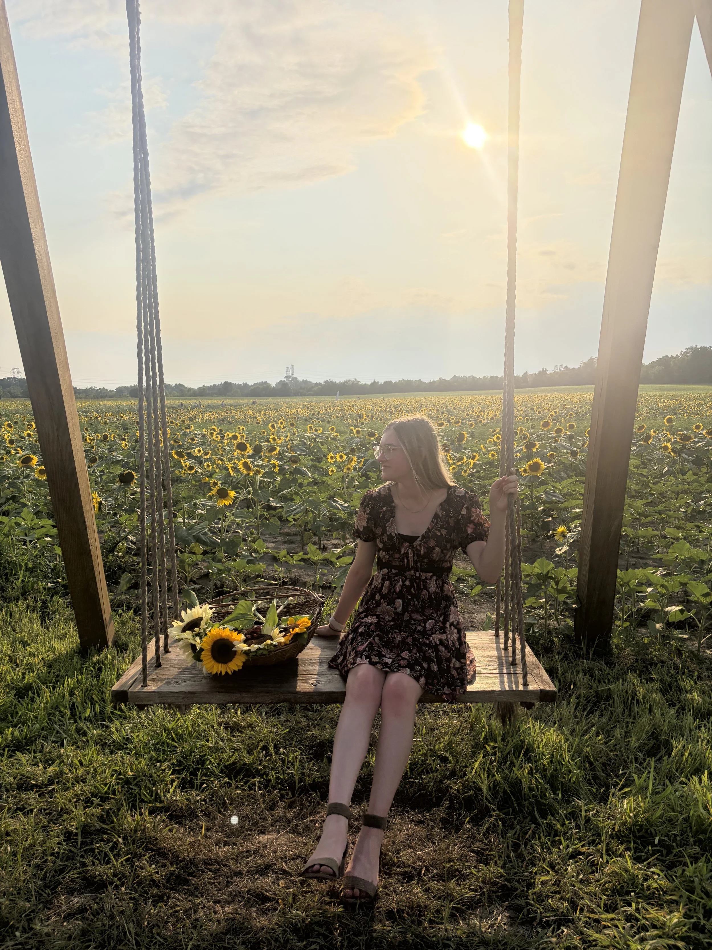 Sunflowers, Seasons, and Storms