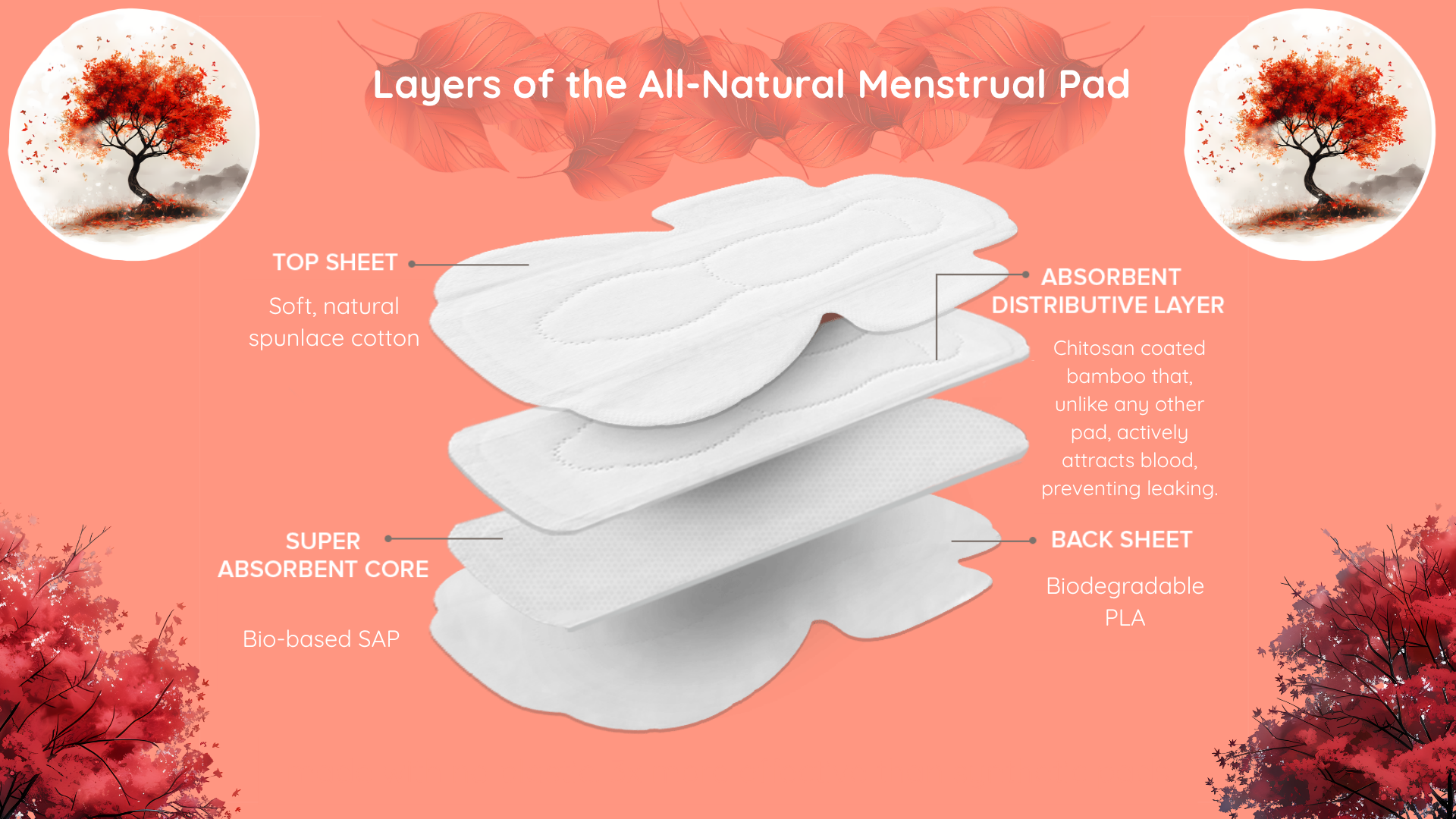 Layers of the All-Natural Menstrual Pad (1).png