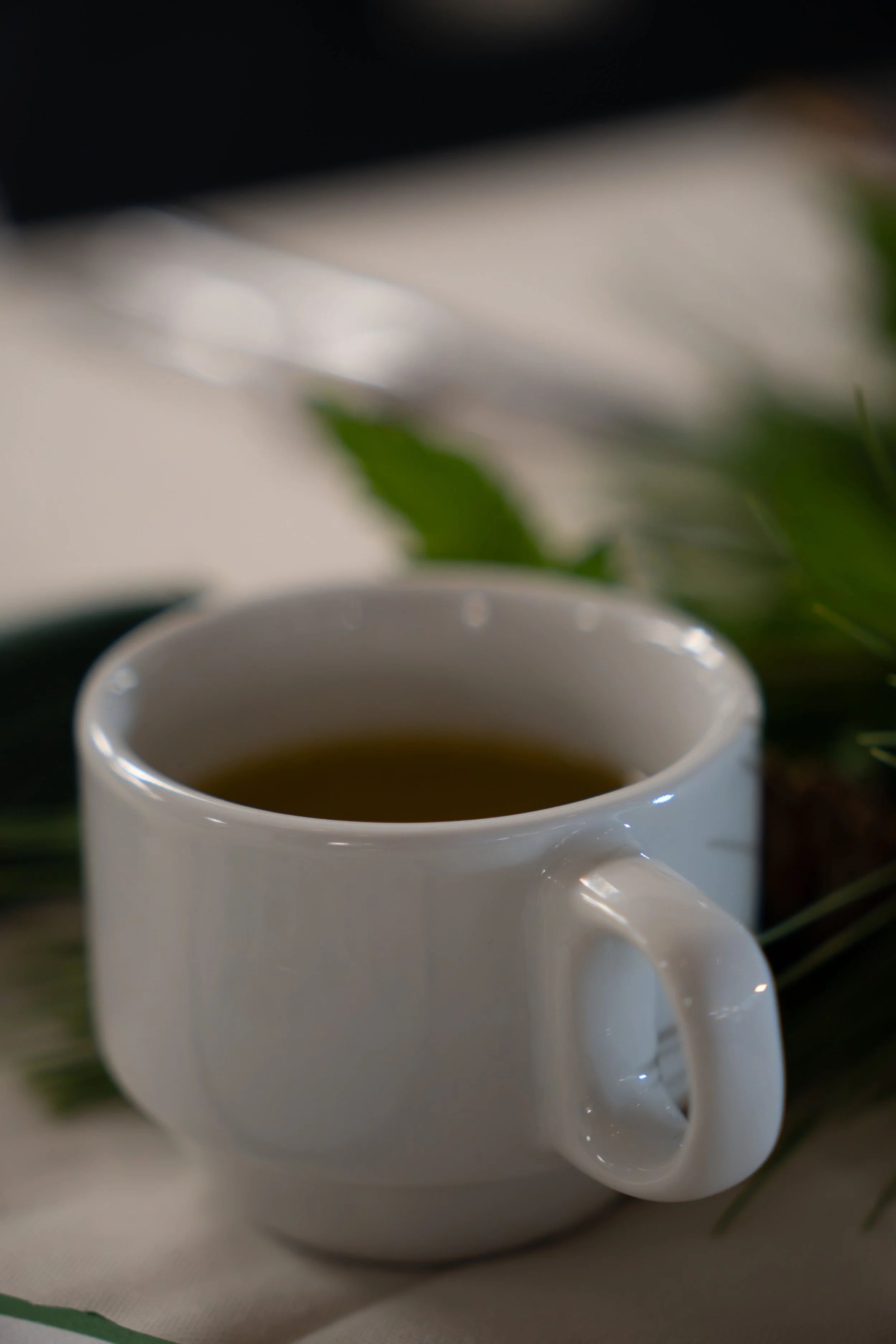 DSC06899.jpg
