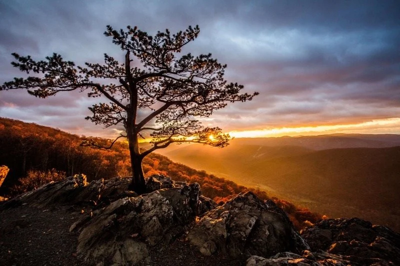 Mountain Landscape Prints