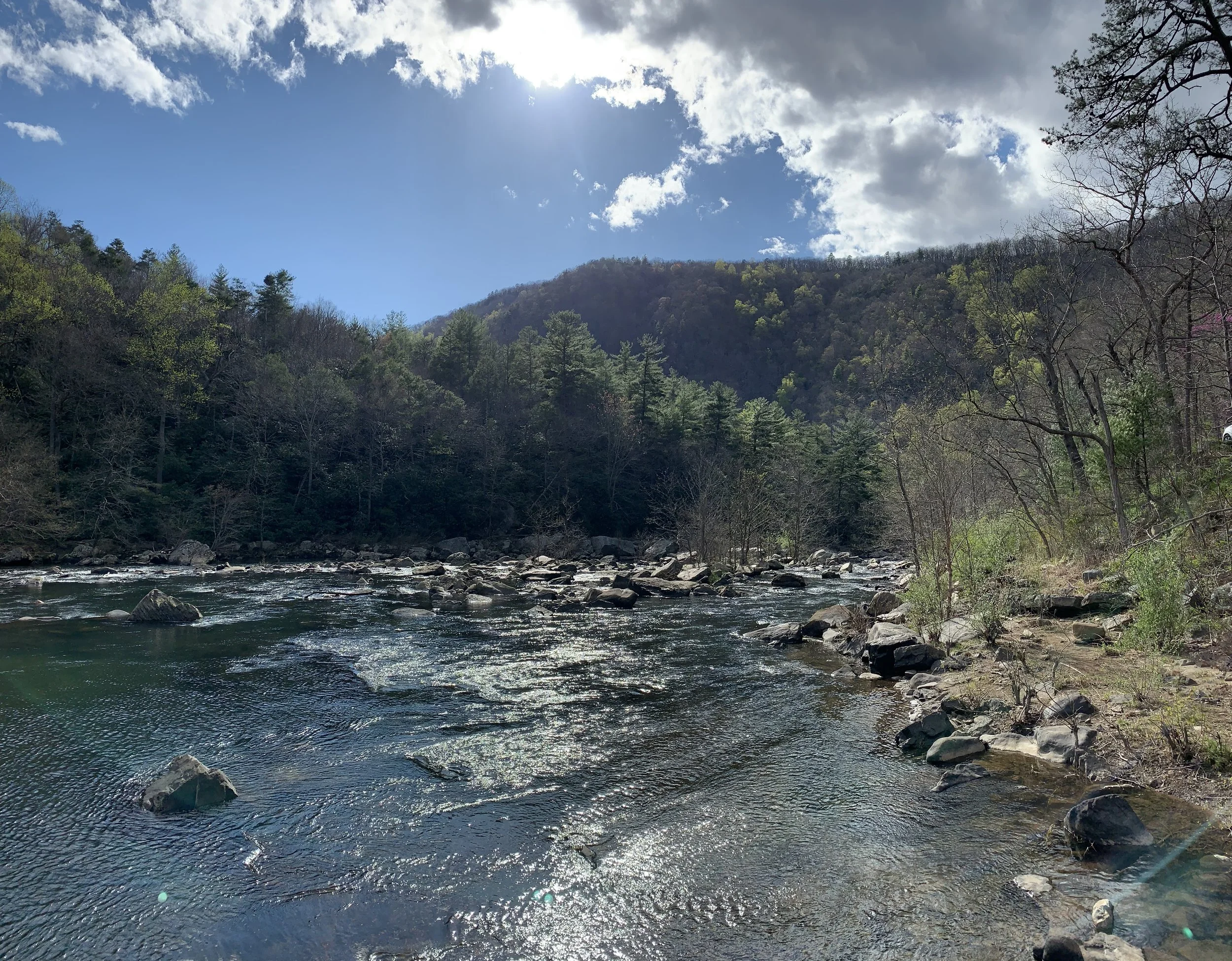 IMG_2695.jpeg