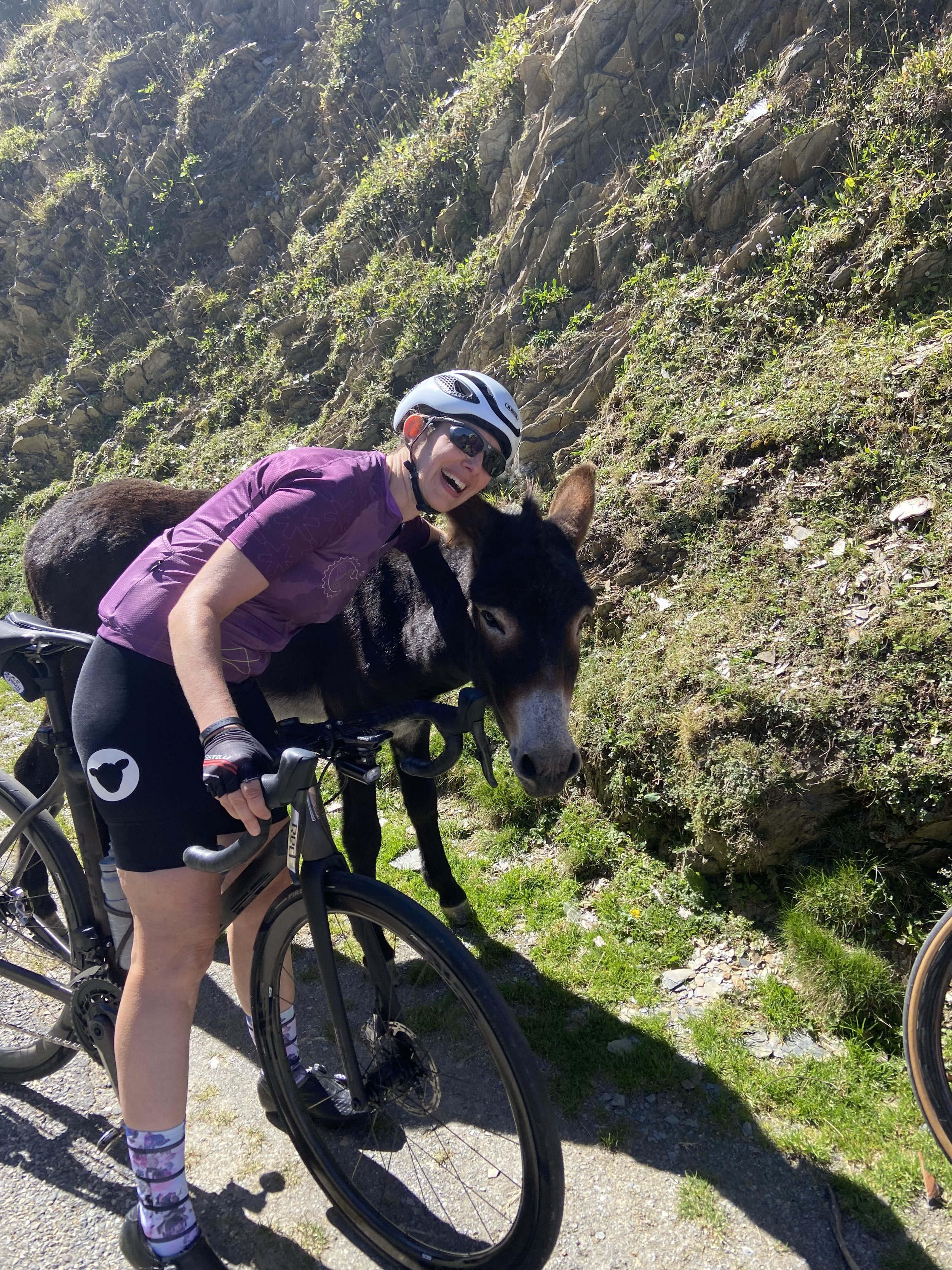 A person wearing a purple cycling jersey, black cycling shorts, colorful patterned socks, and a white helmet with sunglasses, smiling and leaning towards a black and white donkey on a mountain trail with rocky hillside and green vegetation.