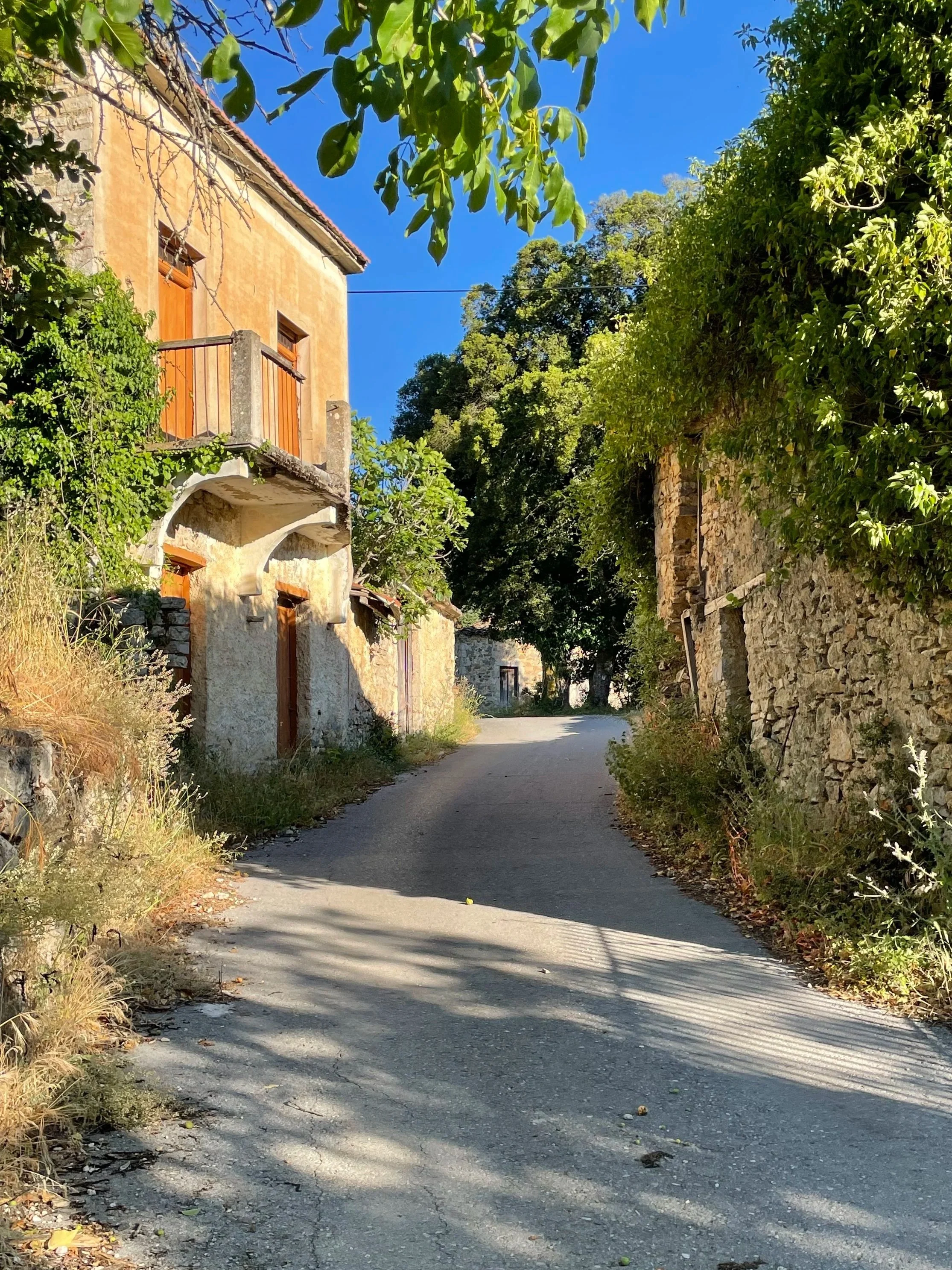 A narrow street with a fork in a rural area, surrounded by stone and plaster buildings with wooden doors and balconies, and lush green trees under a bright blue sky.