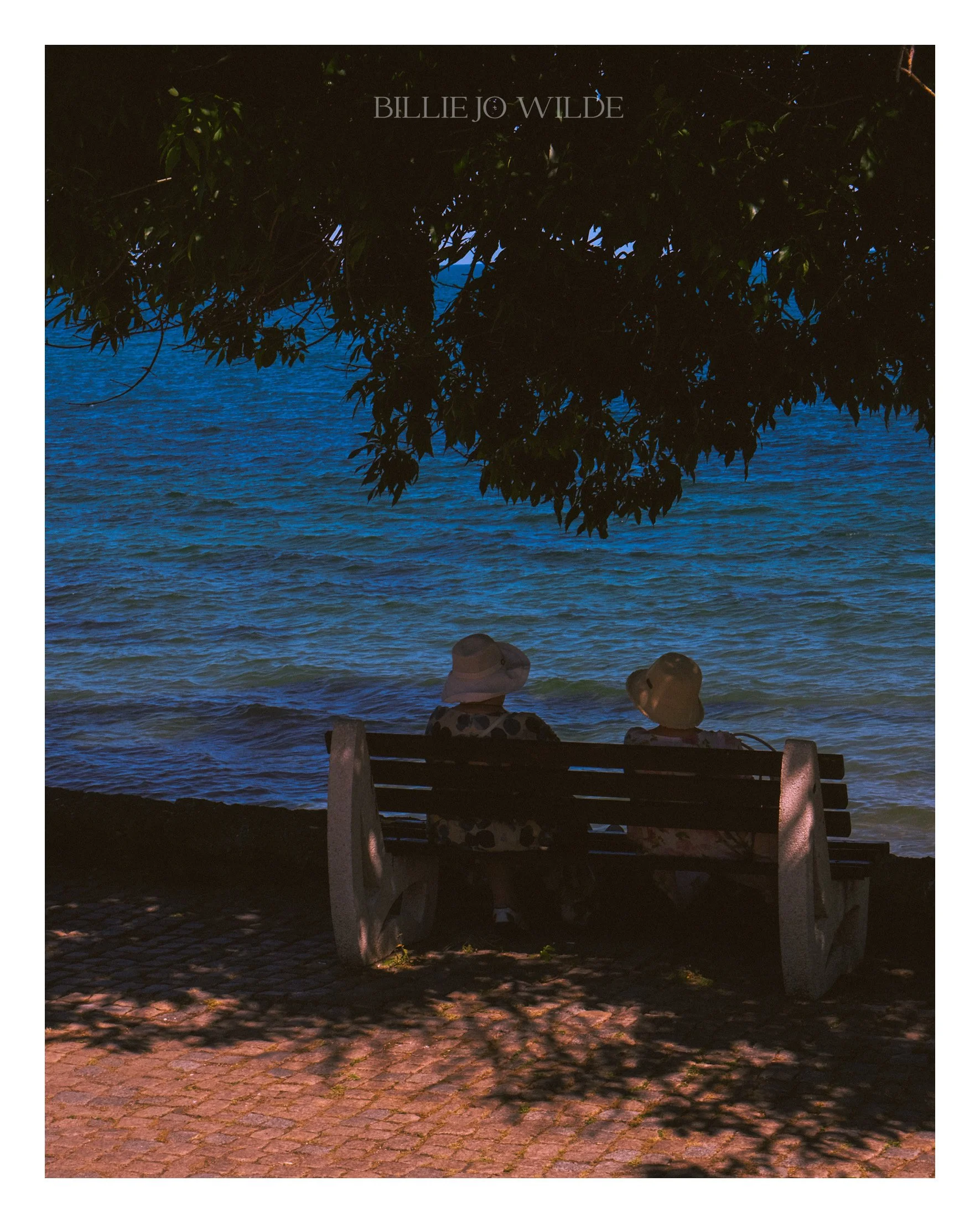 People sitting on a bench facing the water under a large leafy tree at dusk, with the city name 'Billie Jo Wilde'overlaid at the top.