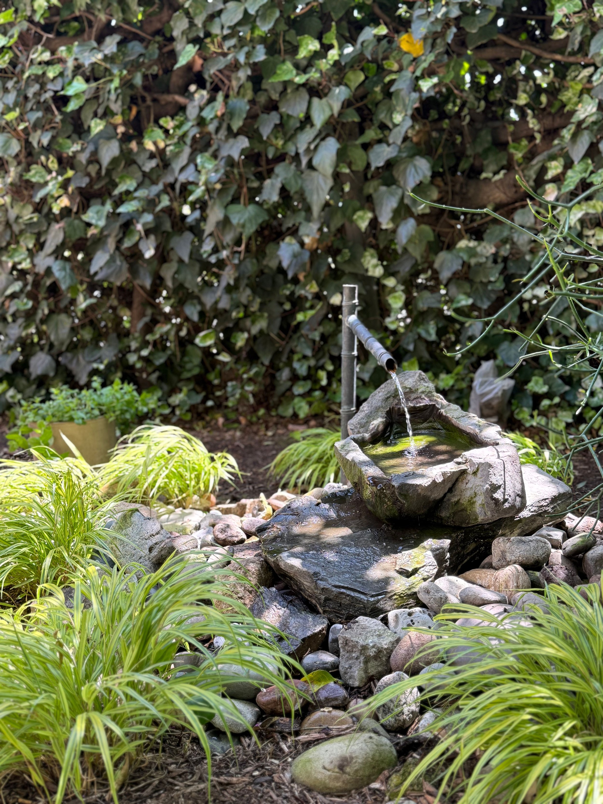 fountain.jpeg