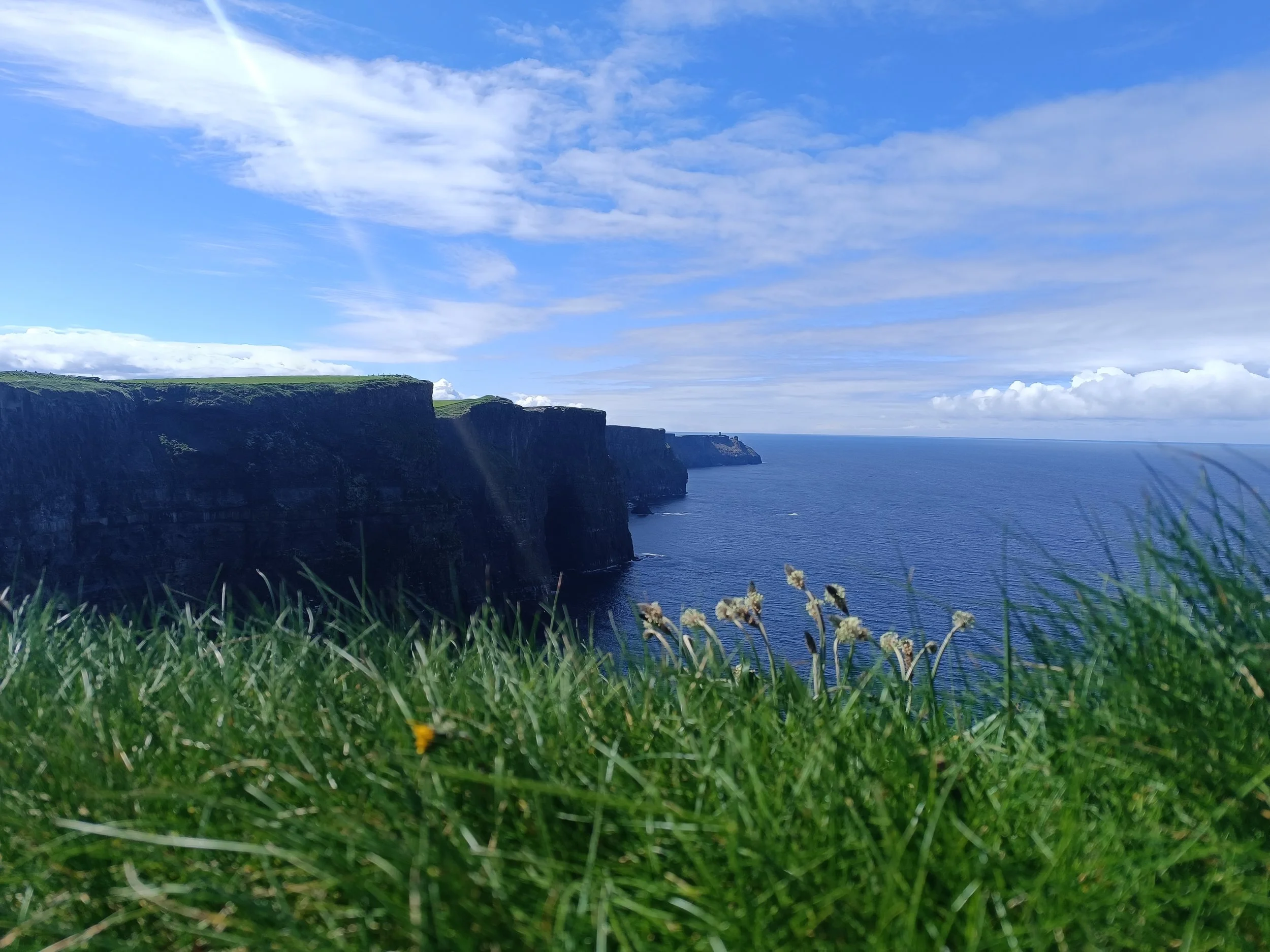 Cliffs overlooking the ocean under a partly cloudy sky, with green grass and small yellow flowers in the foreground.