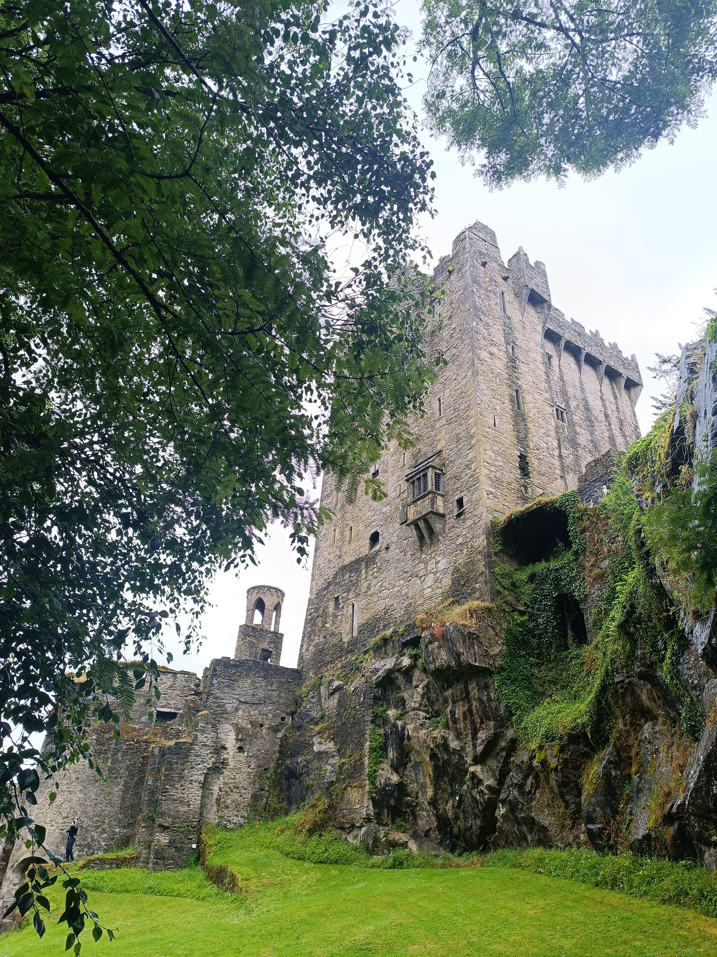 A medieval stone castle surrounded by lush green trees and grass, with a rocky cliff at its base.