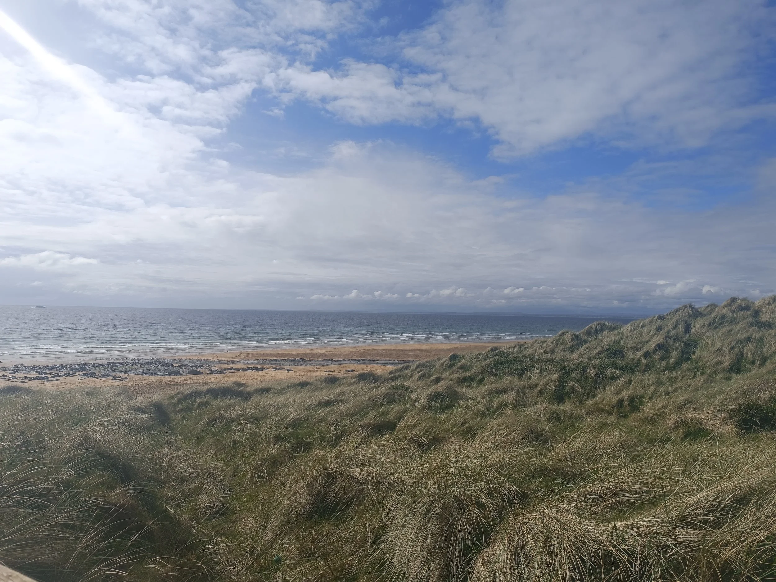 A view of a cloudy sky over the ocean with grassy dunes in the foreground.
