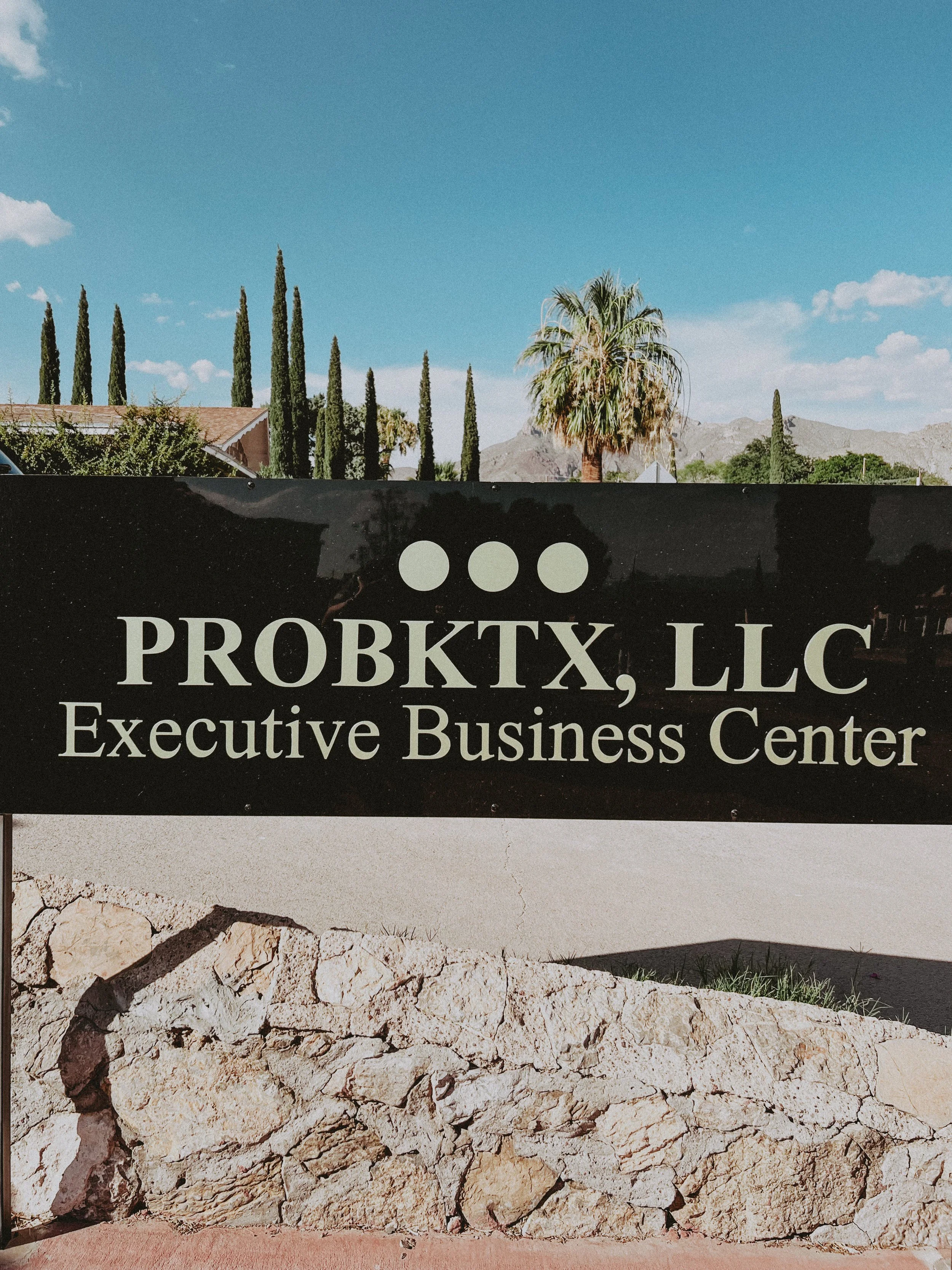 A sign reading 'PROBKTX, LLC Executive Business Center' with a landscape of tall cypress trees, palm trees, mountains, and blue sky in the background.