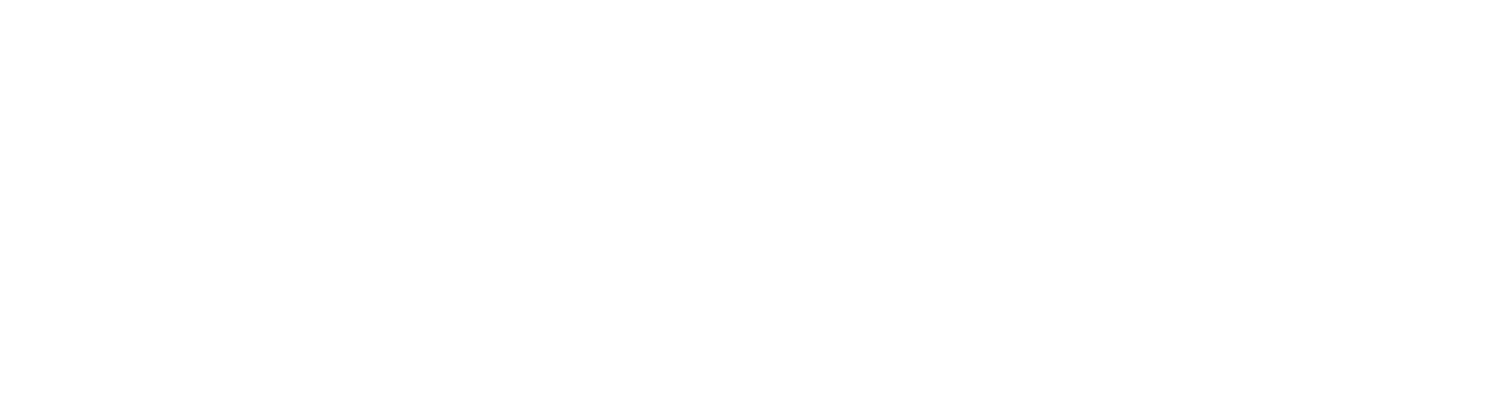 Allante Corp