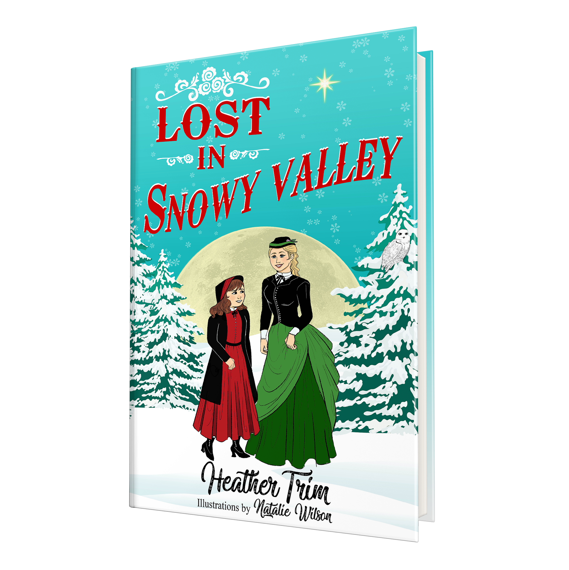 Lost in Snowy Valley