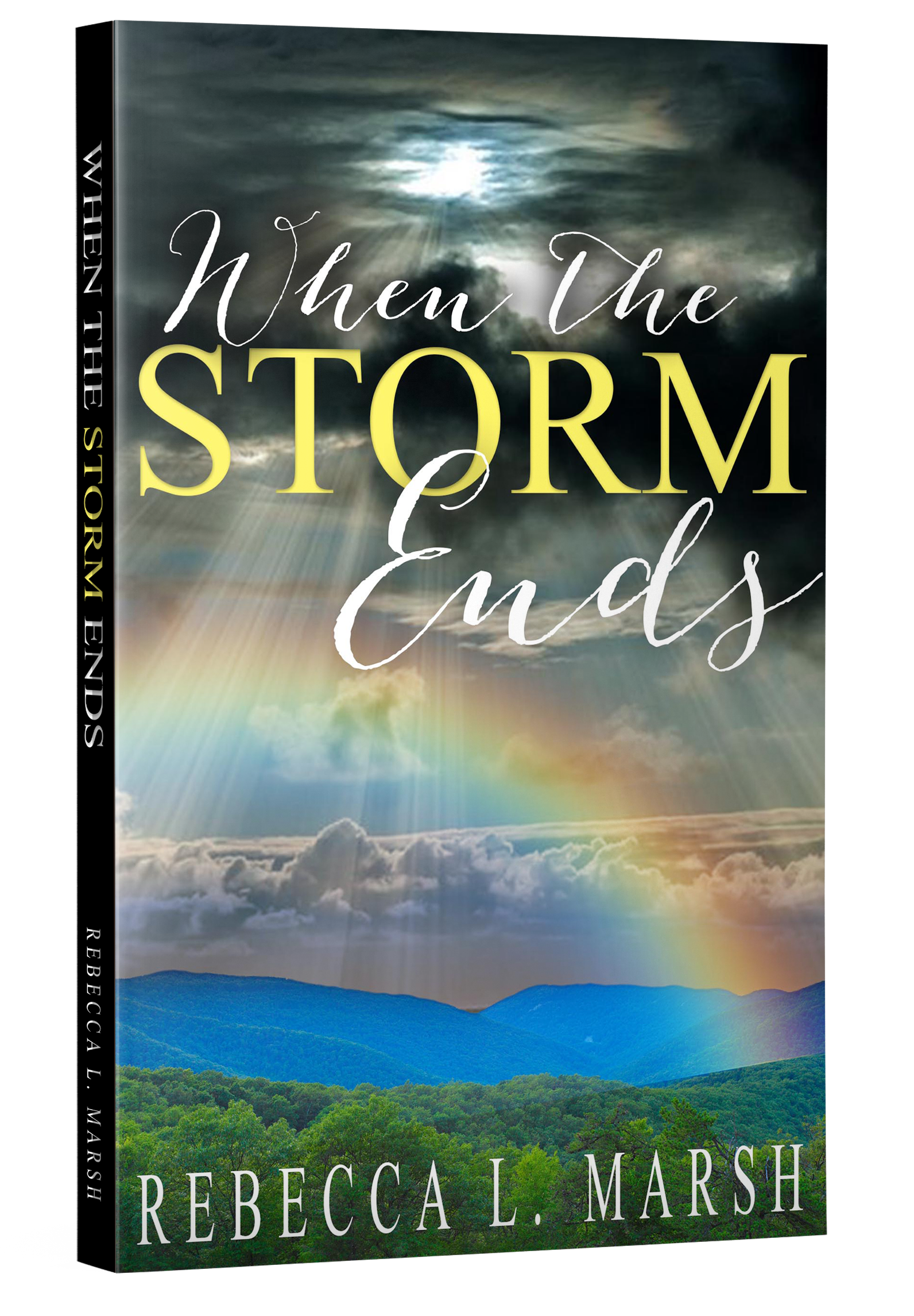 WhentheStormEnds_3Dpaperback.png