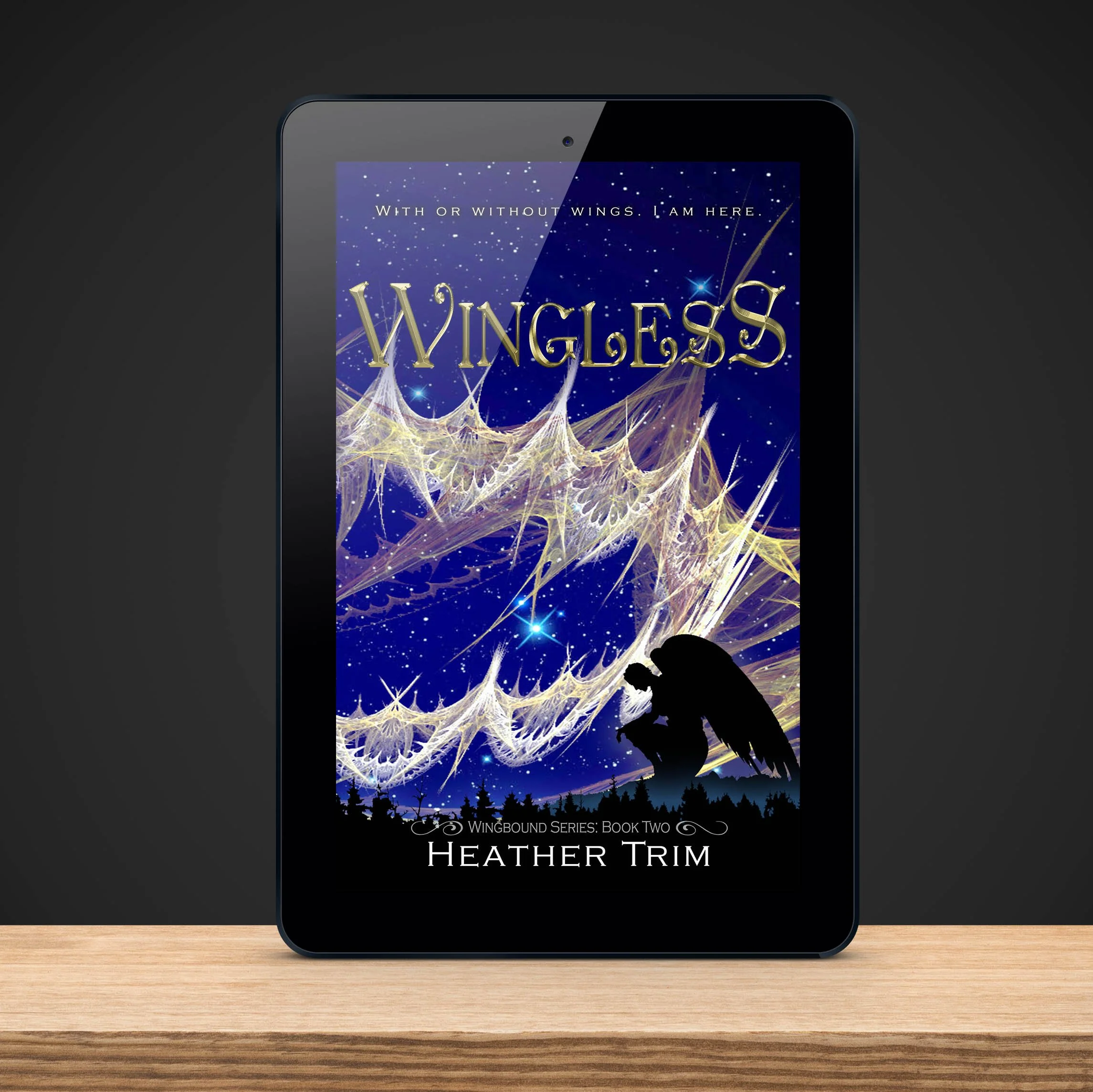 Book 2: Wingless - eBook
