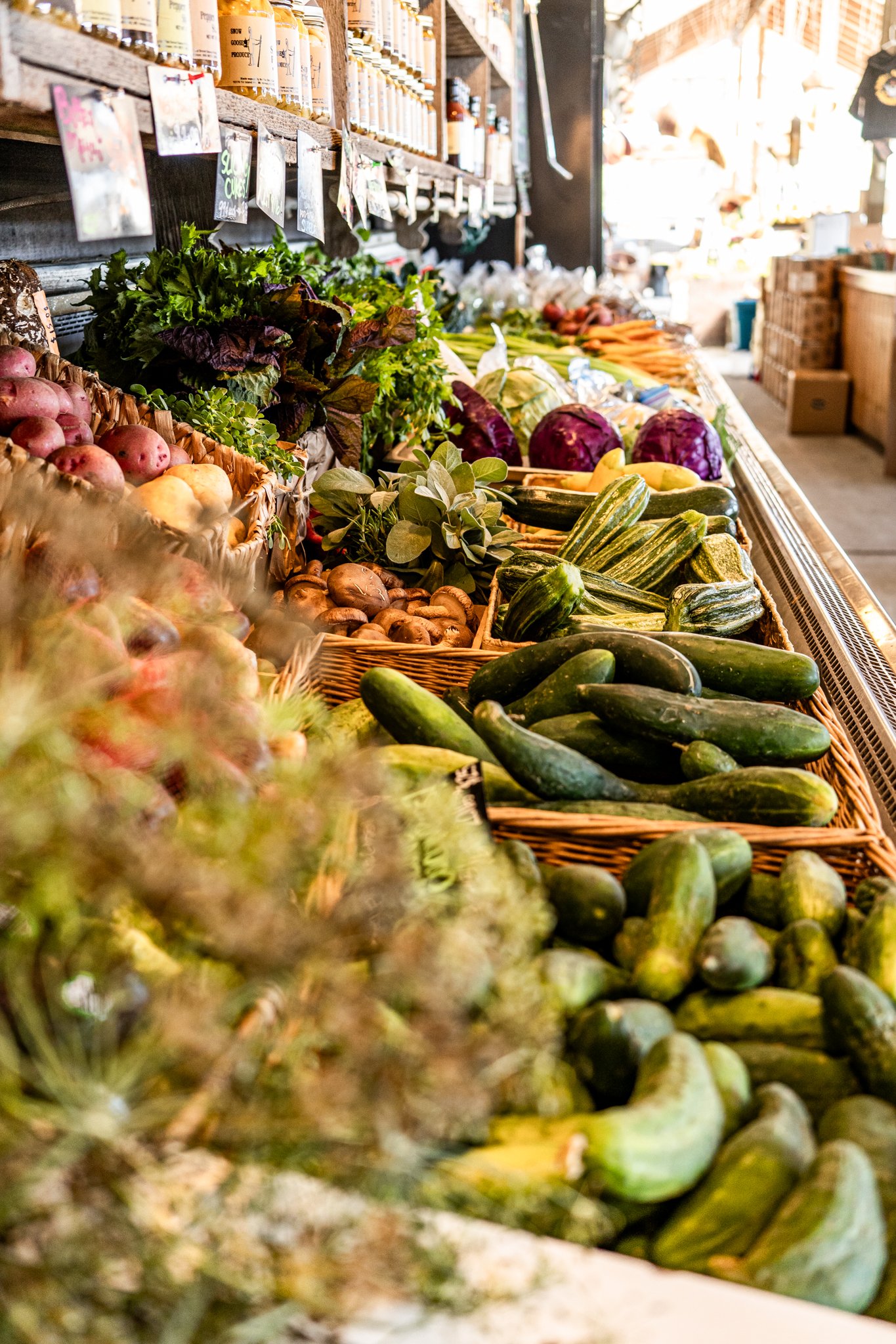 Skagit Valley-6.jpg
