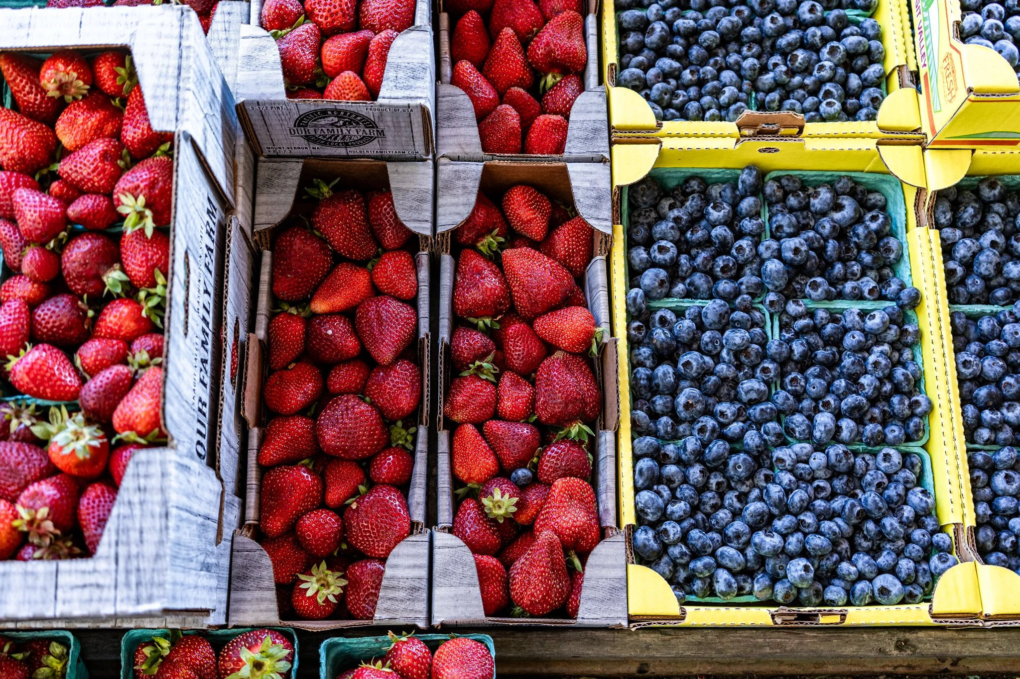 Skagit Valley-4.jpg