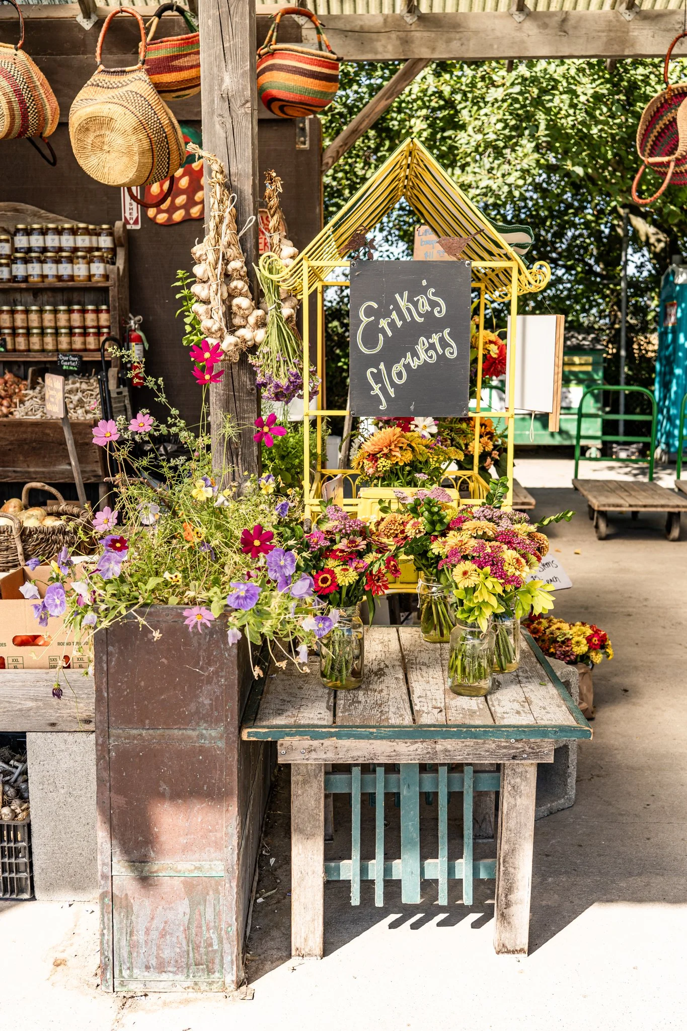 Skagit Valley-8.jpg