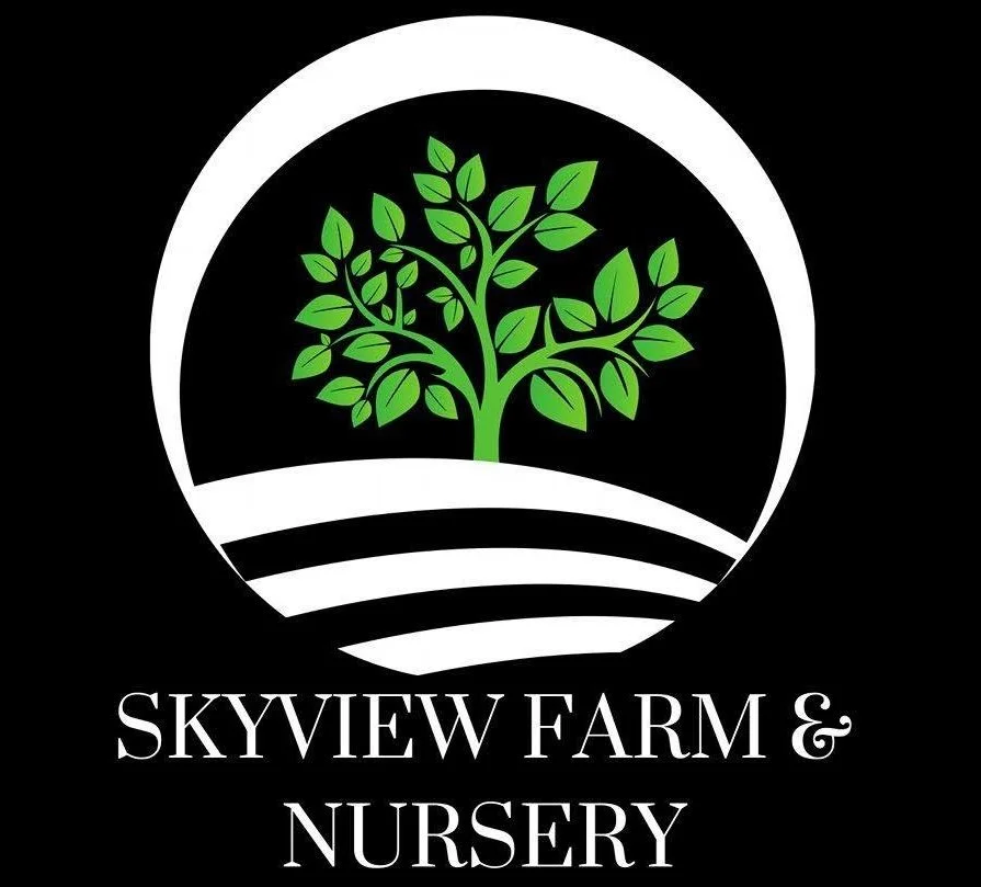 Skyview Nursery
