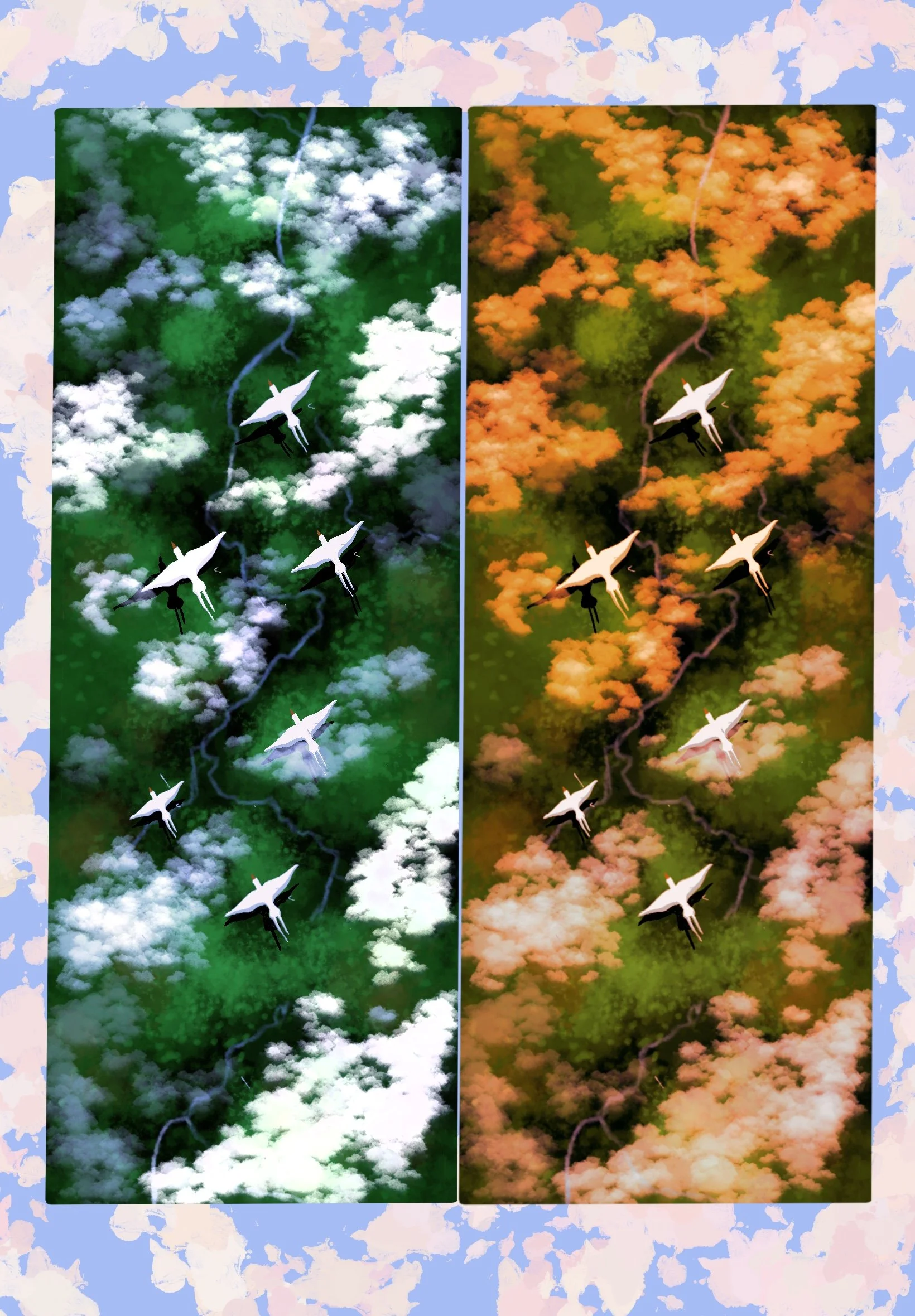 Birds