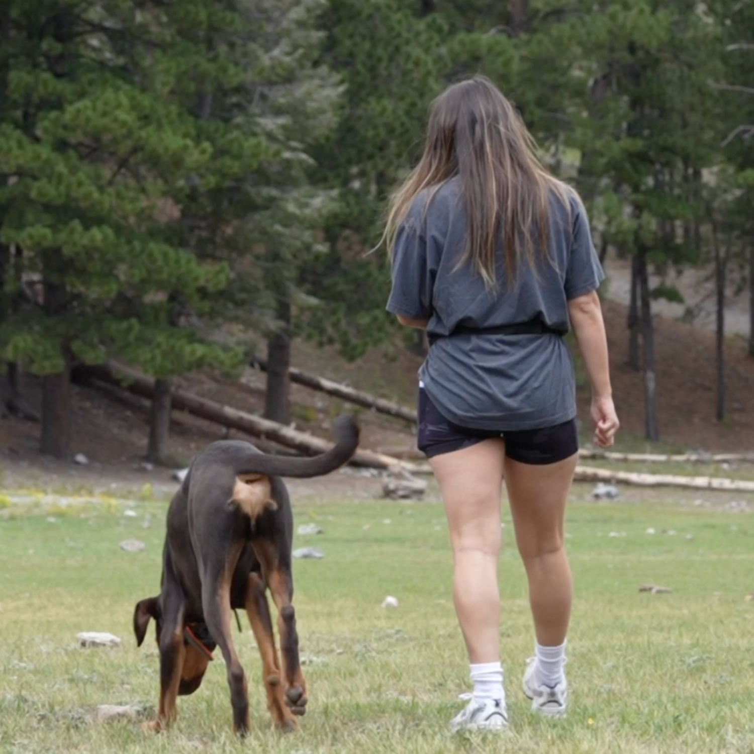 Behavior Modification