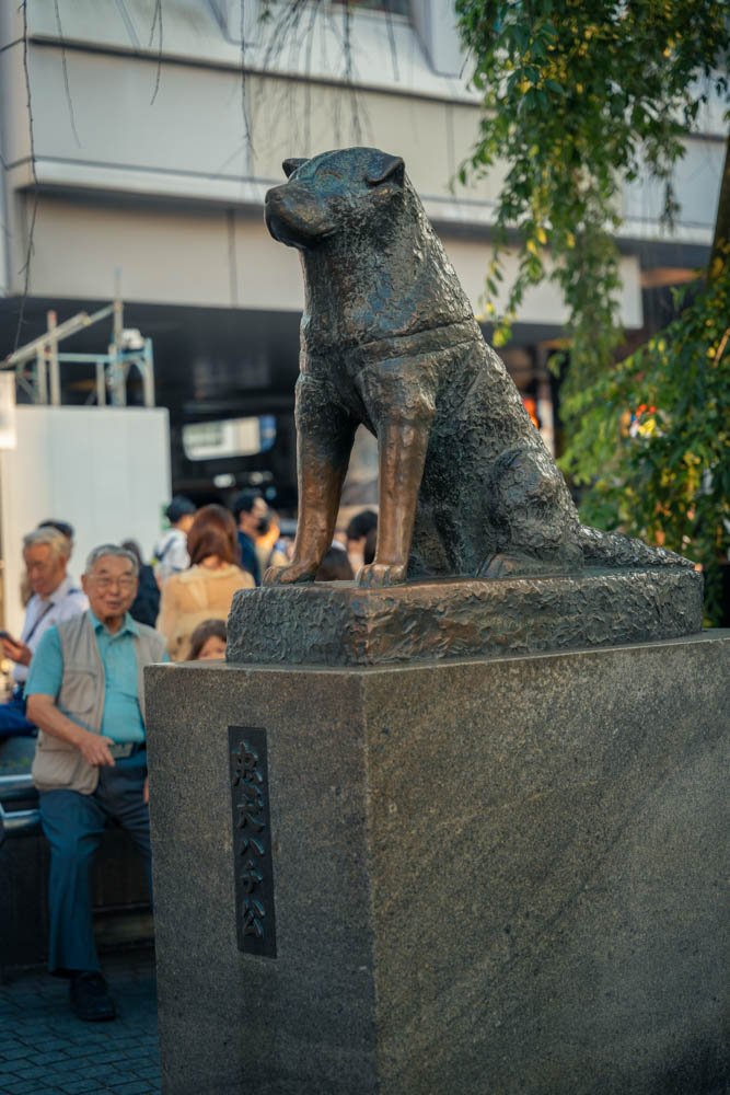 Bronze statue of a dog on a stone pedestal in an outdoor public space, with people gathered around in the background.