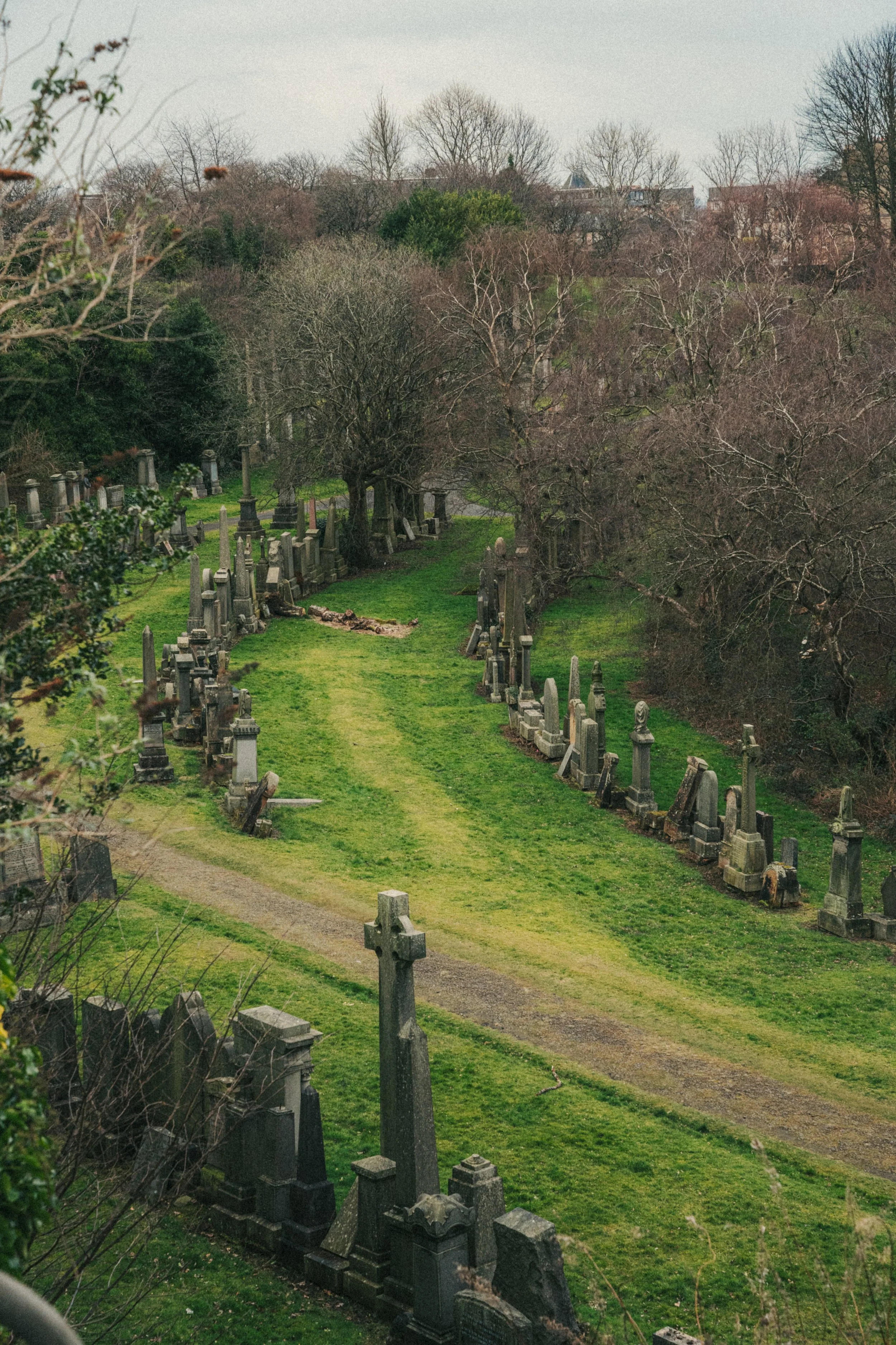 A cemetery with rows of old gravestones on green grass, surrounded by leafless trees and some green shrubbery, under an overcast sky.