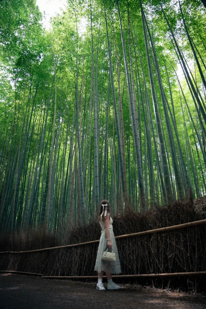 A girl dressed in white with a hat and carrying a bag stands on a dirt path surrounded by tall bamboo trees in a lush, green forest.