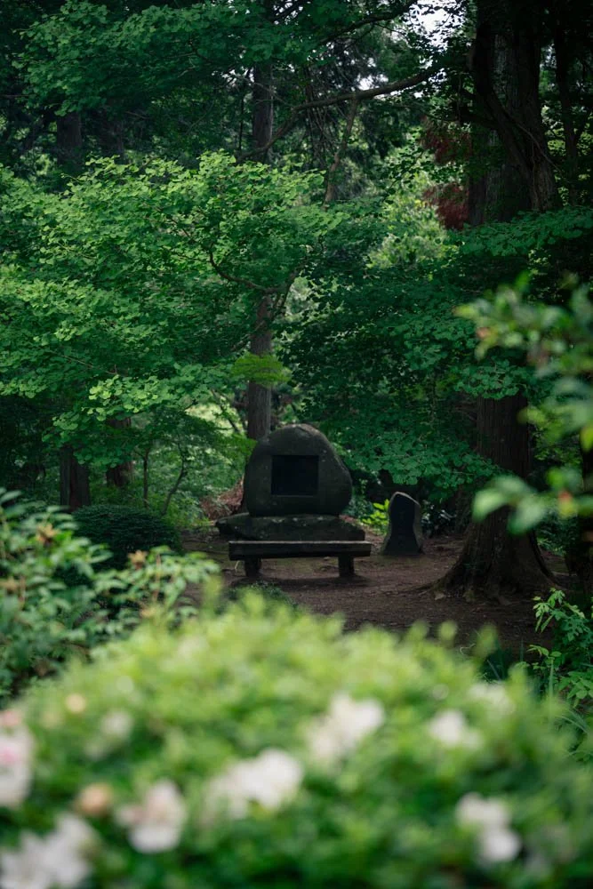 A serene forest scene with lush green trees, bushes, and plants, featuring a small stone shrine or monument with a black inset, a wooden bench nearby, and some smaller stones or markers in the background.