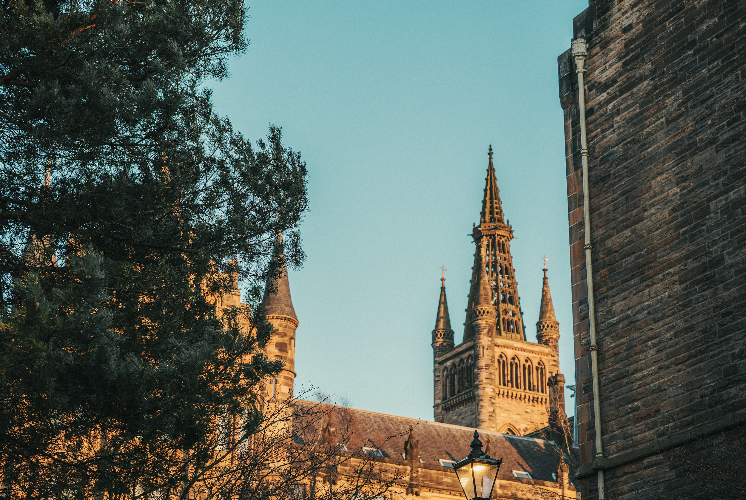 Nighttime view of historic cathedral with tall spires, partially obscured by a large pine tree, in front of a brick building with a streetlamp nearby and blue sky overhead.