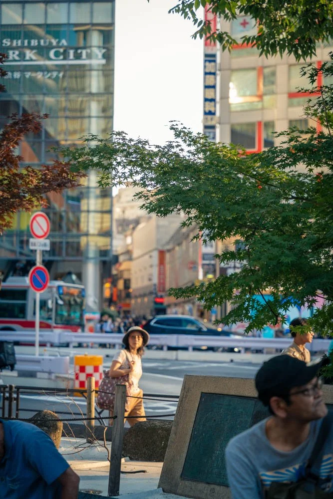 Street scene in an urban area with trees, pedestrians, and buildings, including a woman with a hat and a backpack walking on the sidewalk, and a man with glasses in the foreground.
