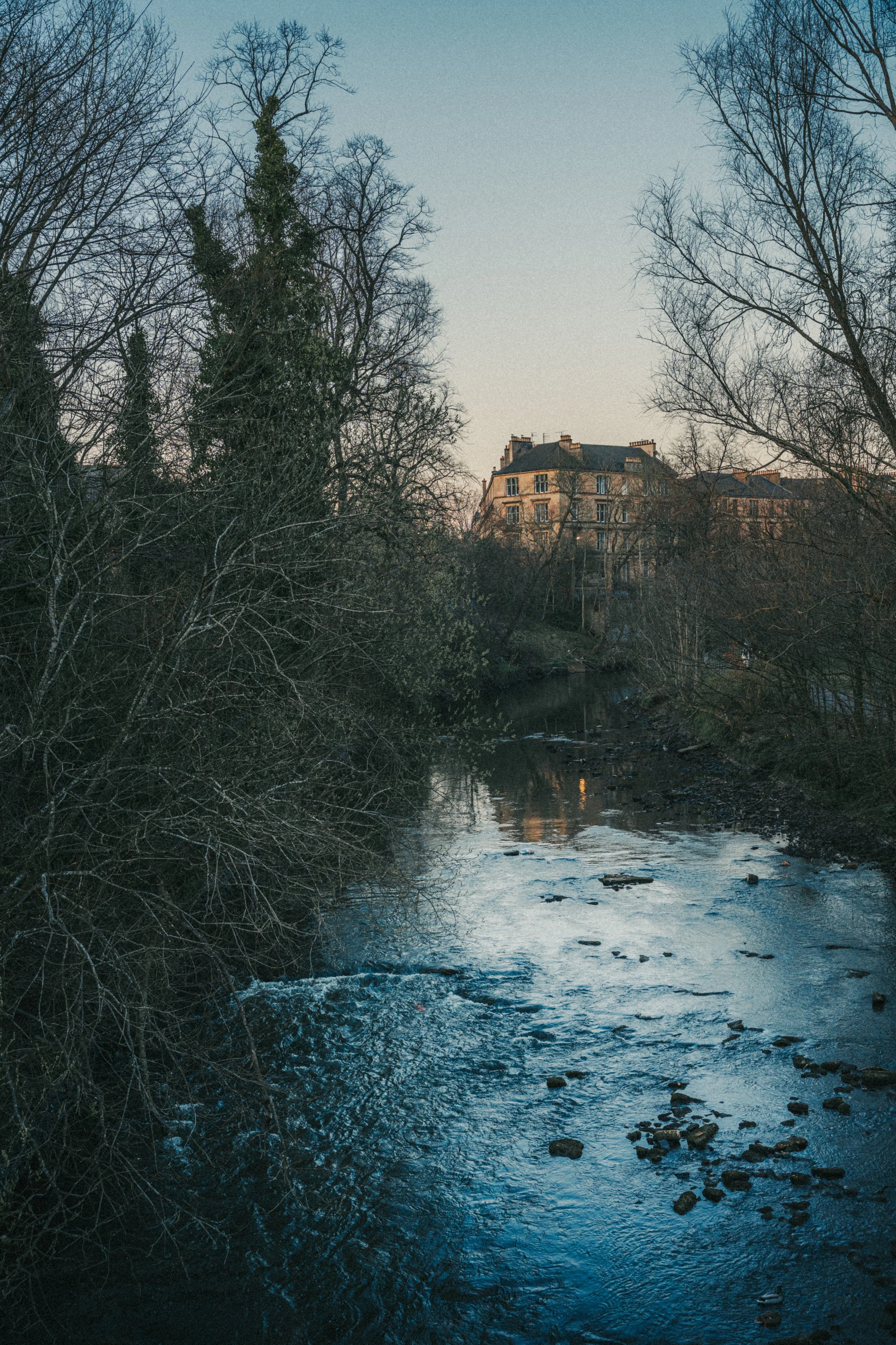 A peaceful river flowing through a wooded area with bare trees, with an apartment building in the background under a clear sky.