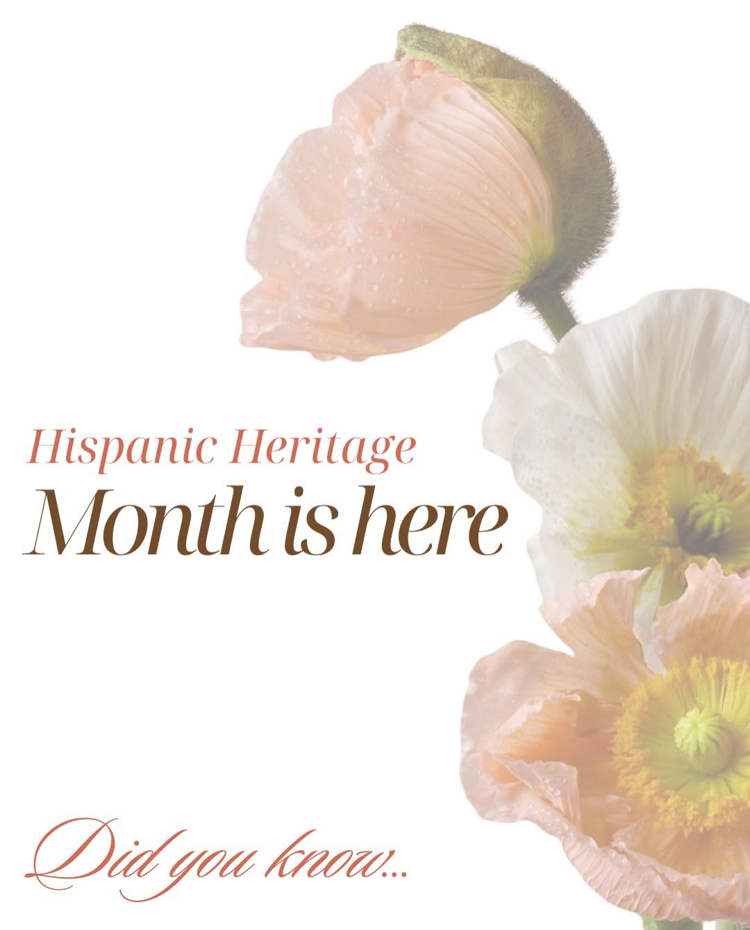 Celebrating Hispanic Heritage Month at Little Leaps! 
This month, we&rsquo;re celebrating the beautiful culture, traditions, and stories that make our community so special, including the story behind Little Leaps. 

Happy Hispanic Heritage Month!
&ie