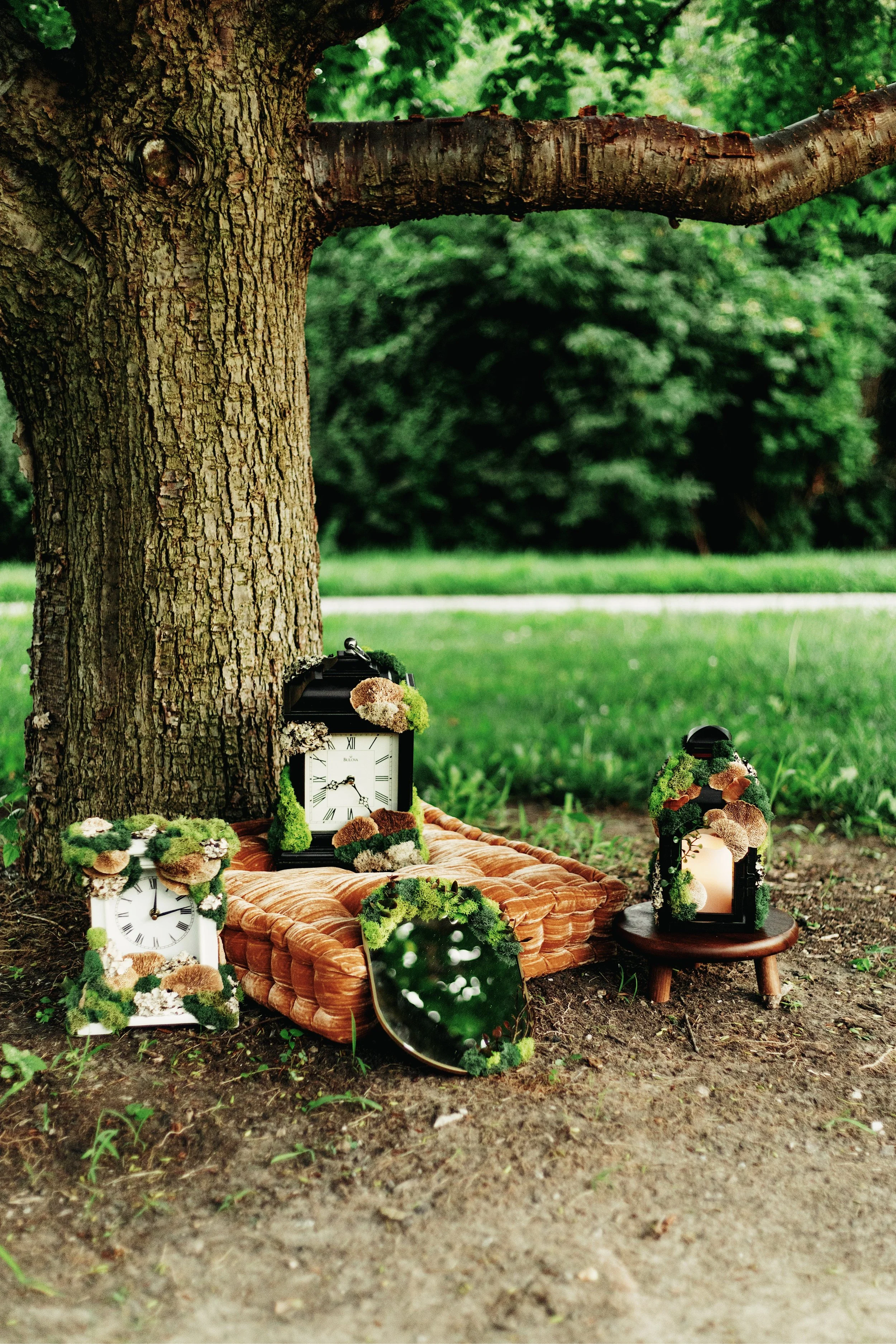 Decorative outdoor setting with vintage clocks, lanterns, and green moss accents arranged on and around a brown pillow under a large tree in a grassy park.