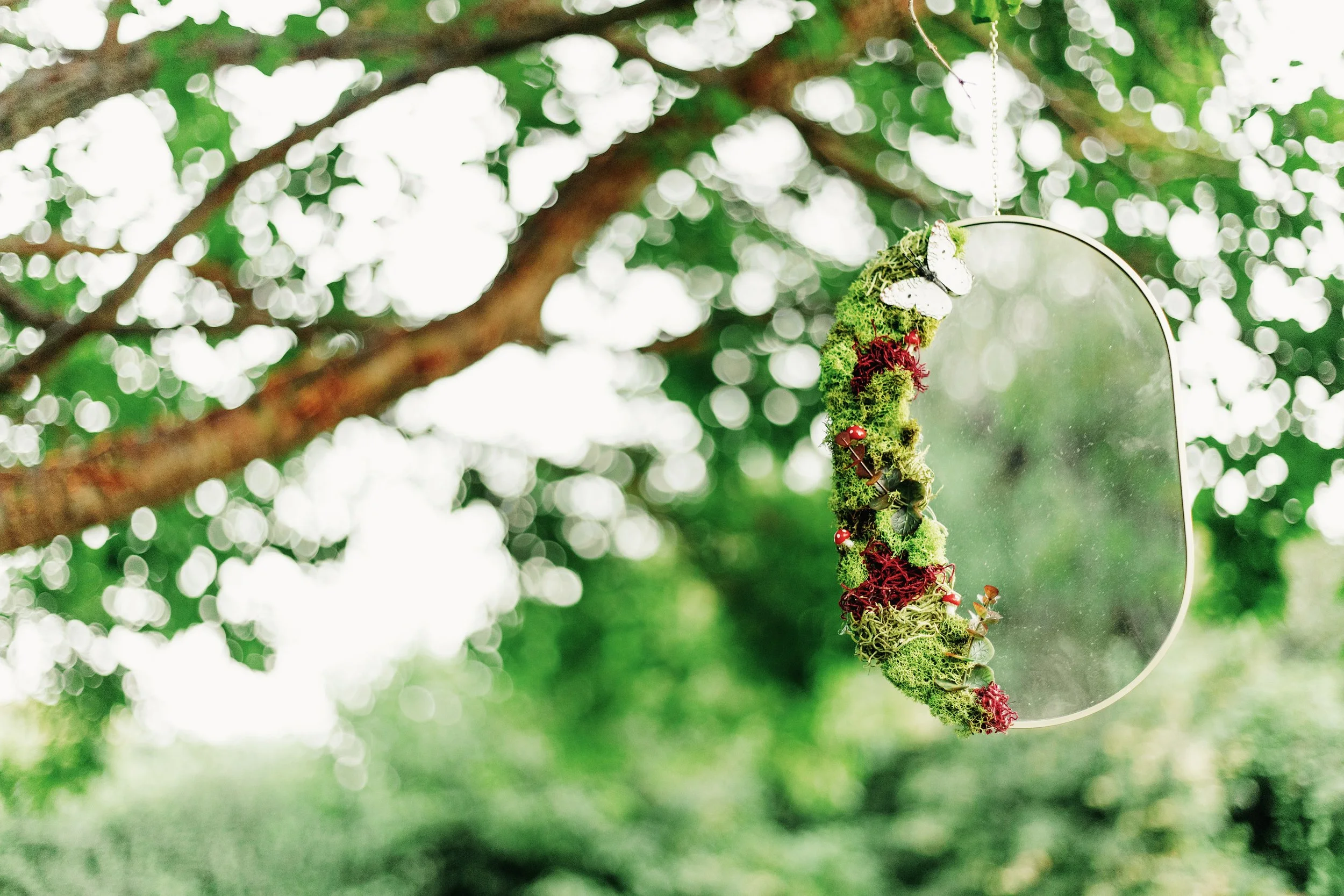 A small decorative mirror hanging from a tree branch, decorated with green moss, red moss, and a white butterfly ornament, with a background of blurred green bokeh from leaves.