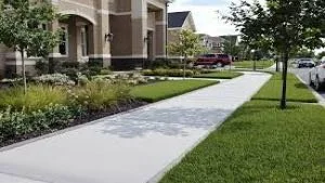 Sidewalk running through a grassy lawn area with trees and houses in the background.