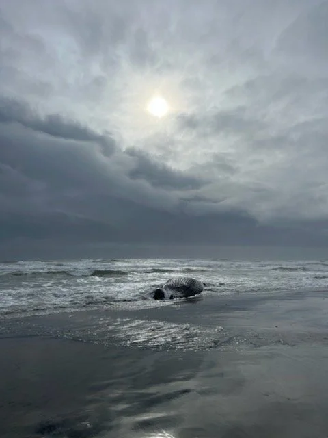 Overcast beach scene with the sun partially obscured by clouds, waves crashing on the shore, and a large rock on the wet sand.