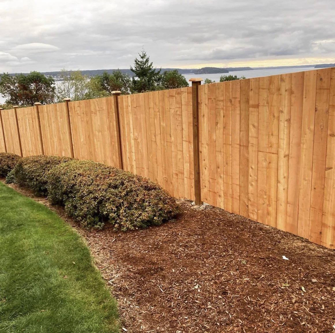 fence6.jpg