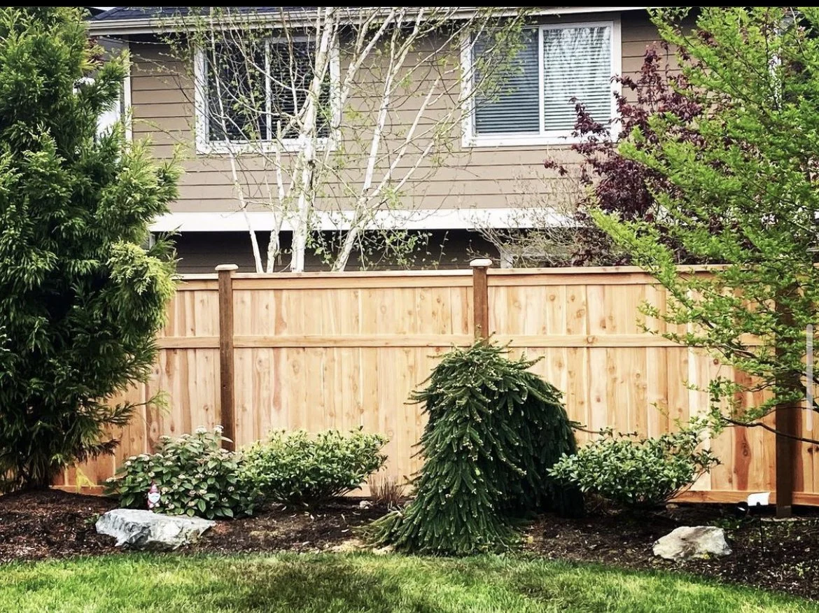 fence4.jpg