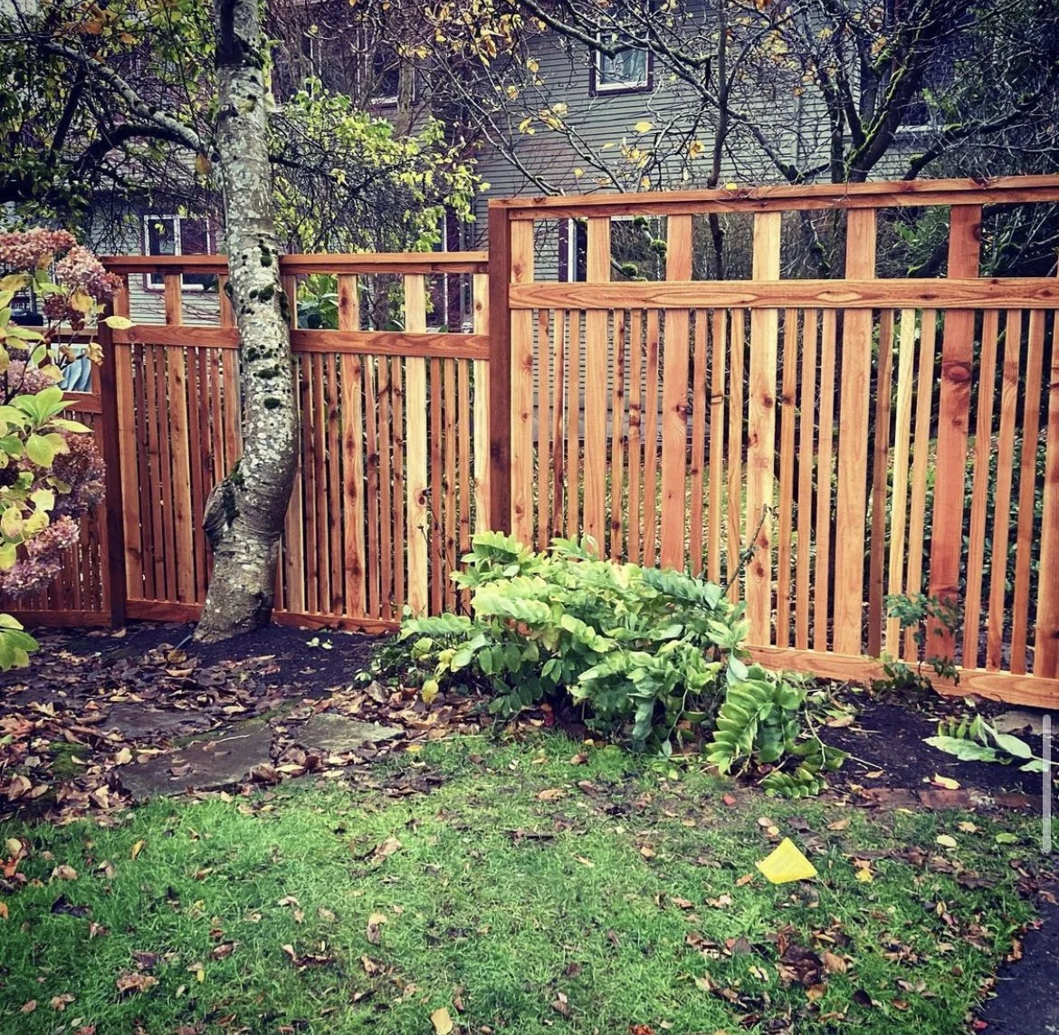 fence5.jpg
