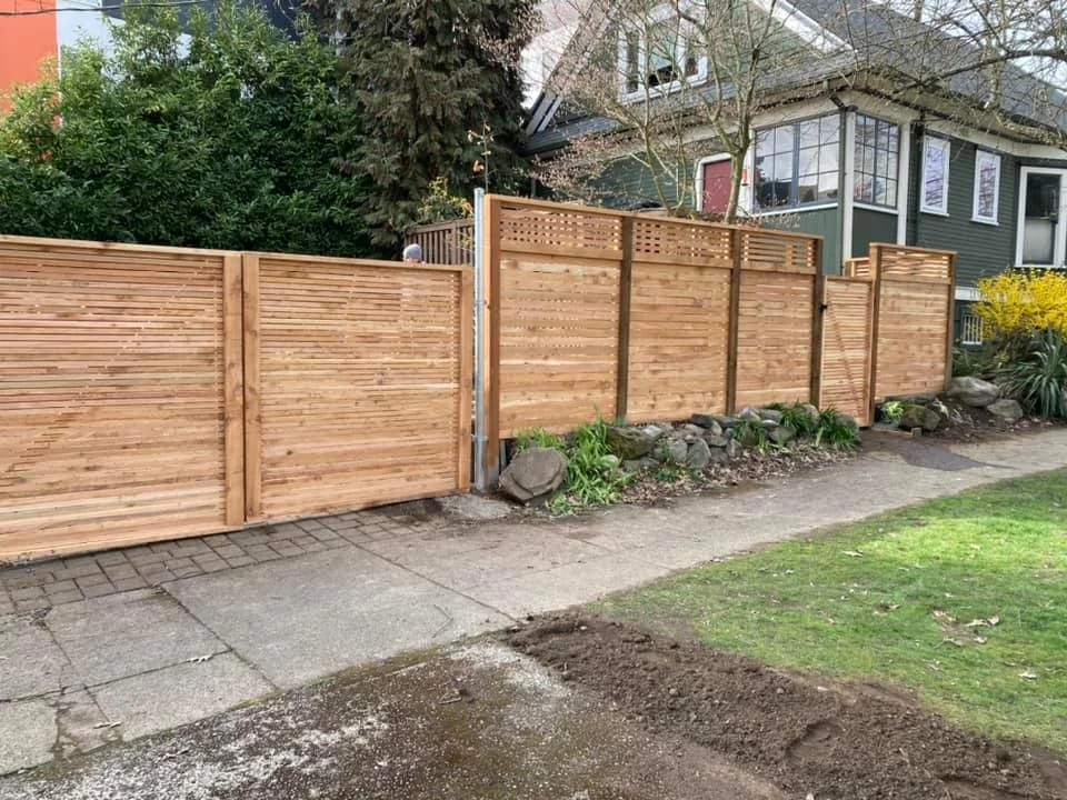 fence17.jpeg