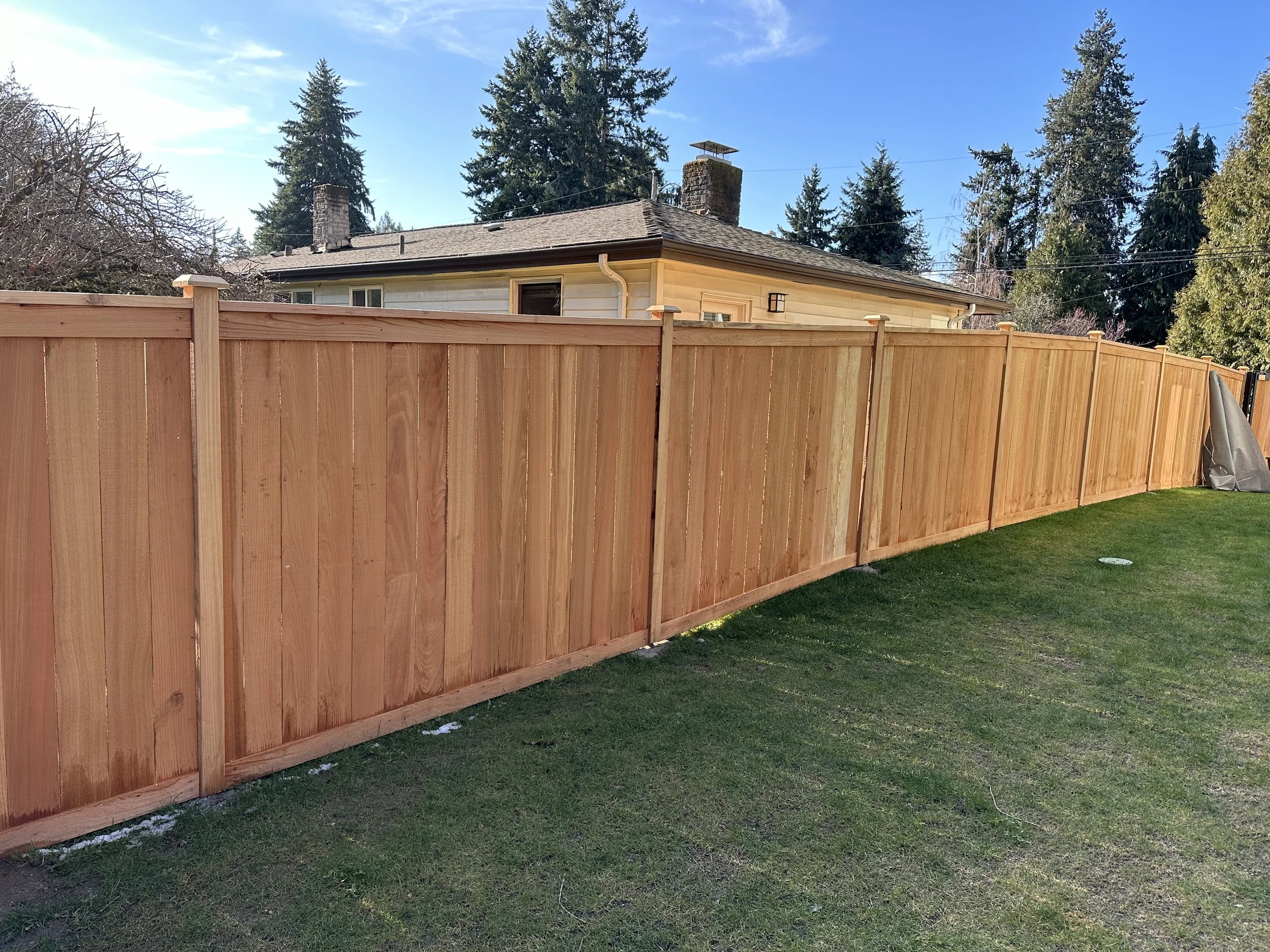 fence30.jpeg