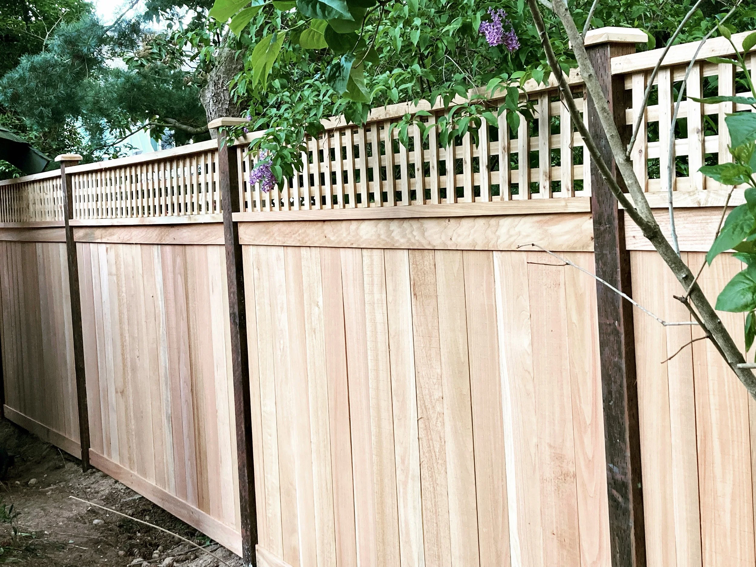 fence12.jpg