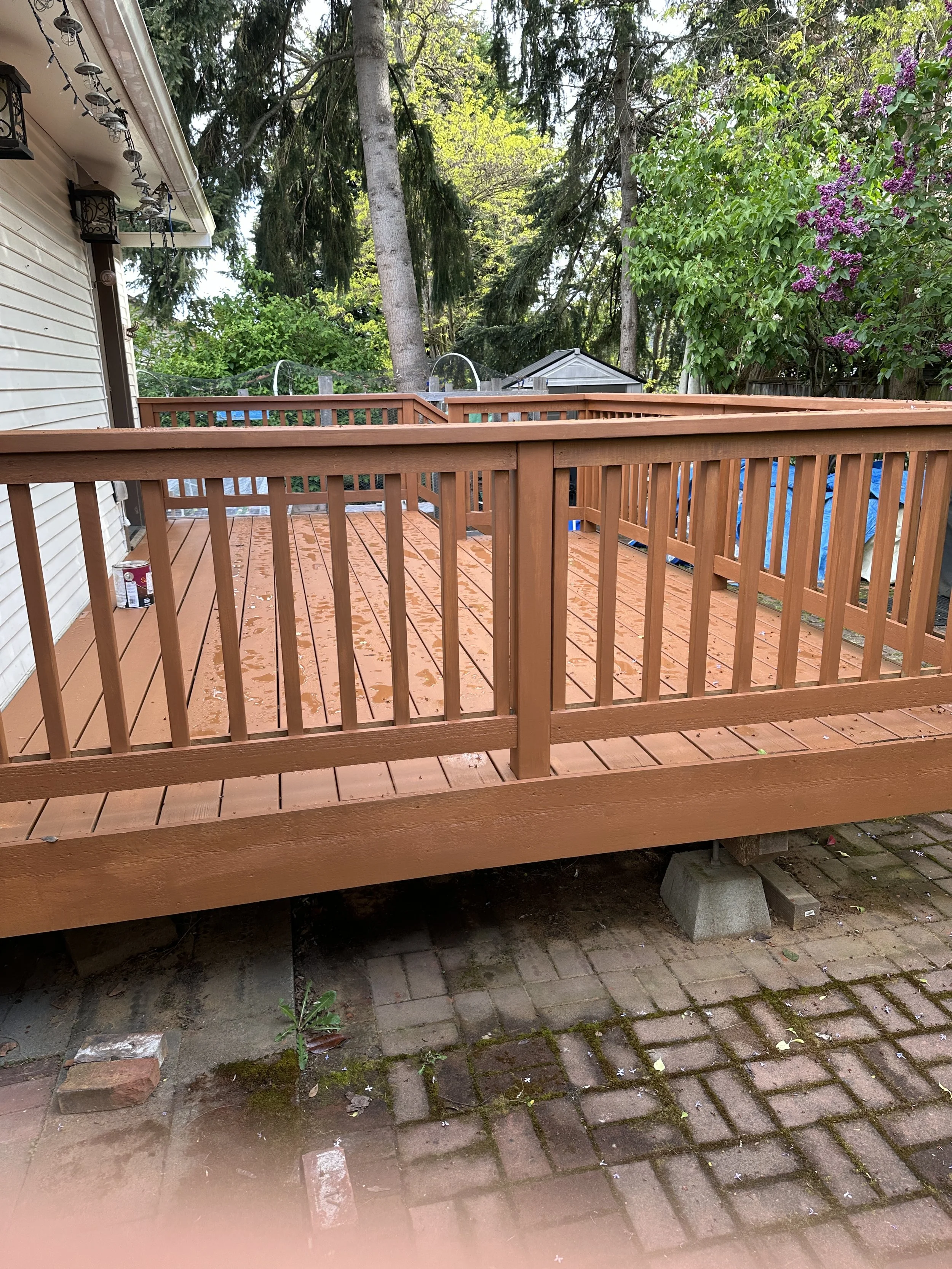 deck12.jpg