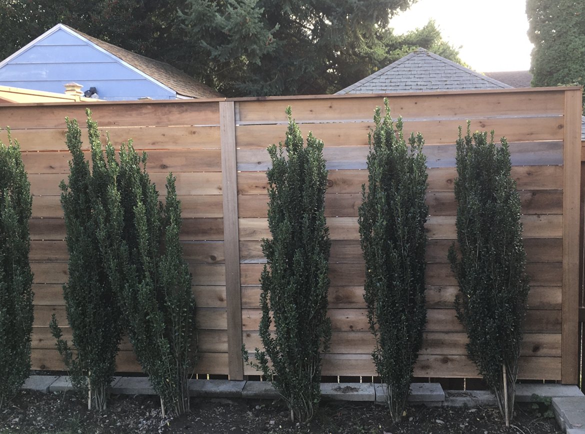 c2-fence.jpg