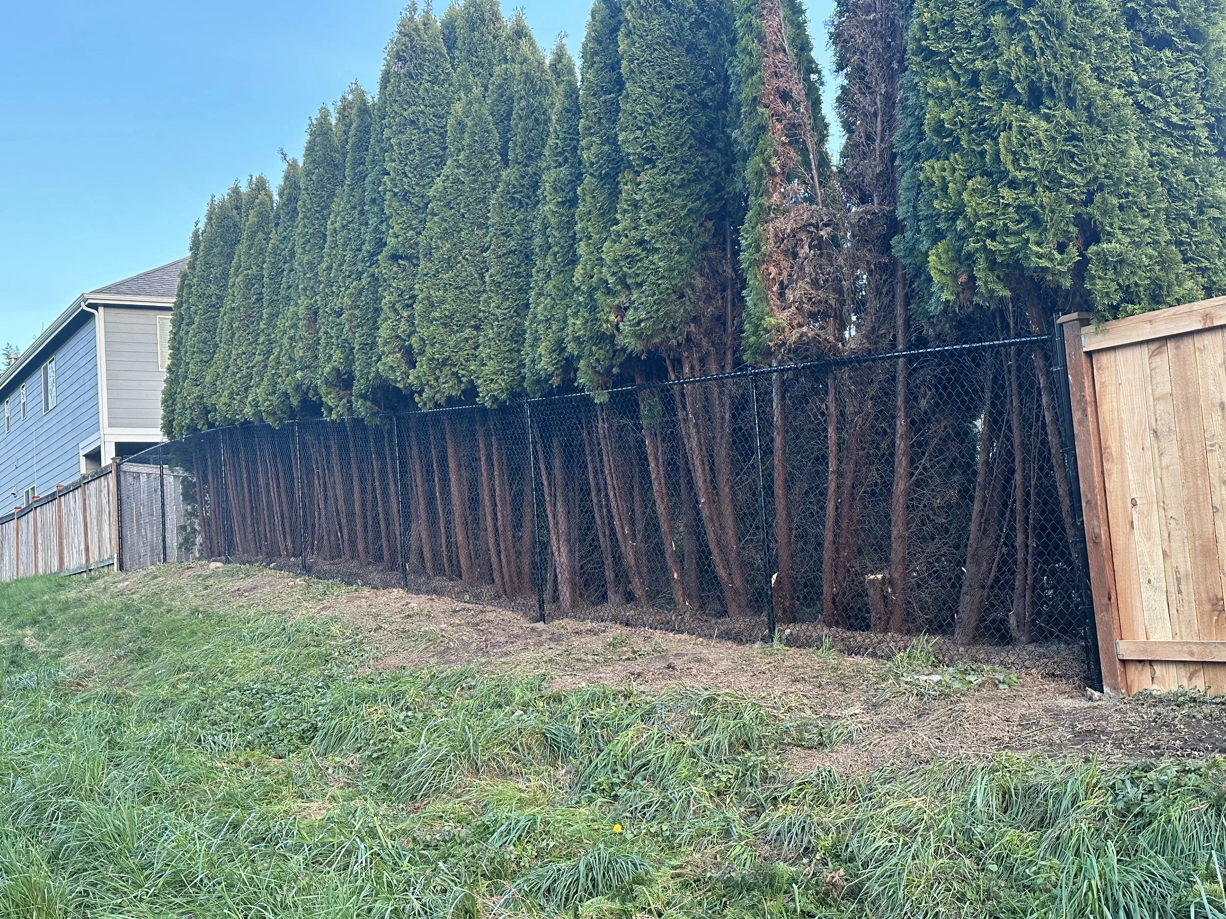 fence26.jpeg
