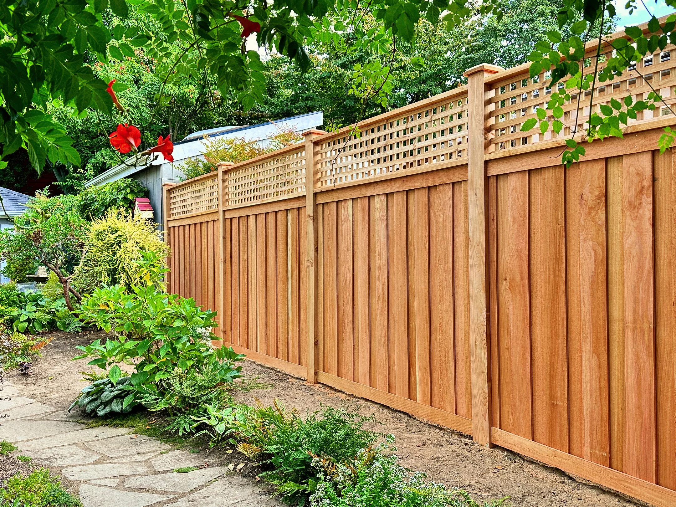 fence14.jpg