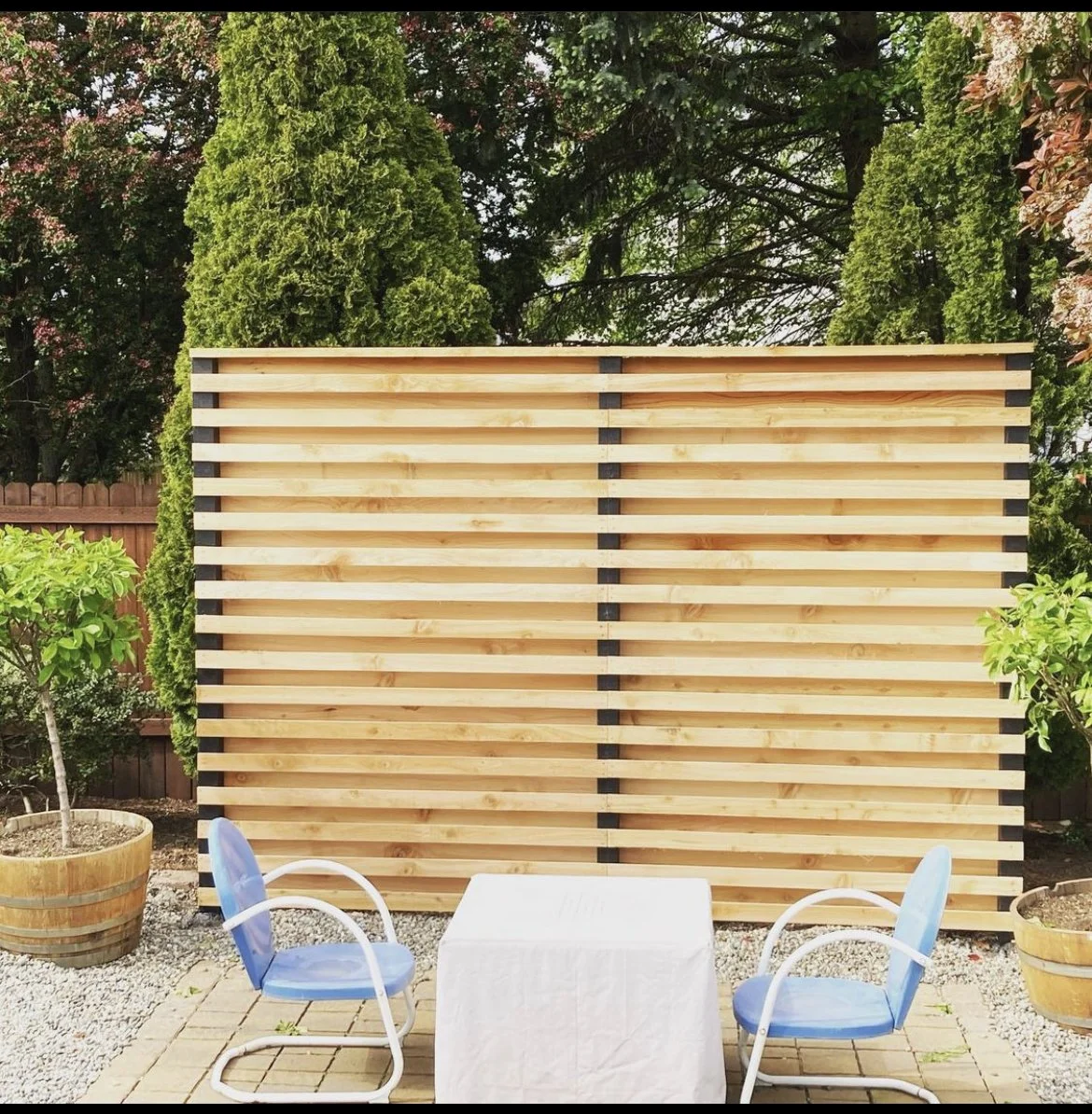 fence3.jpg